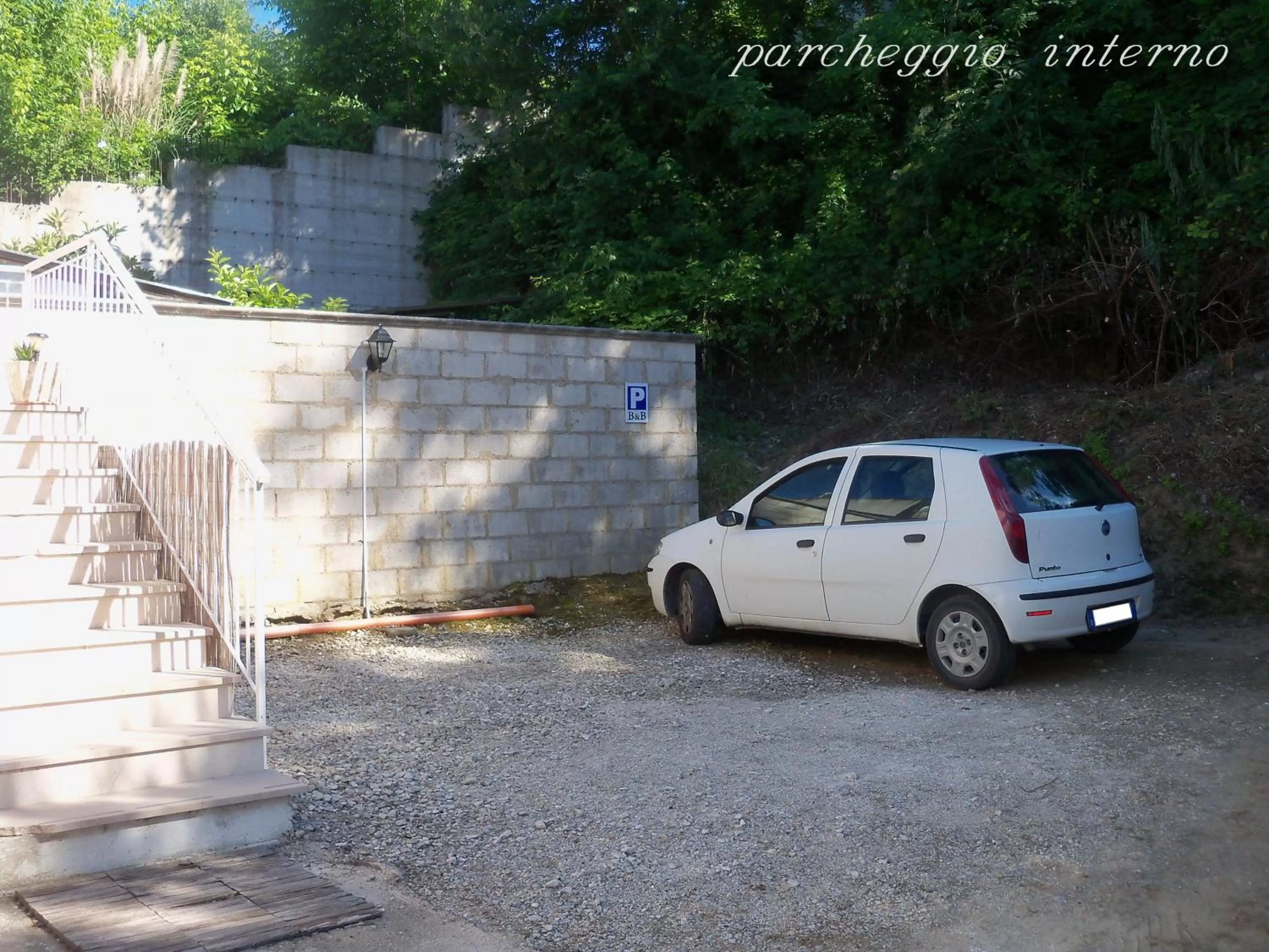 Garden in B&B Falcone
