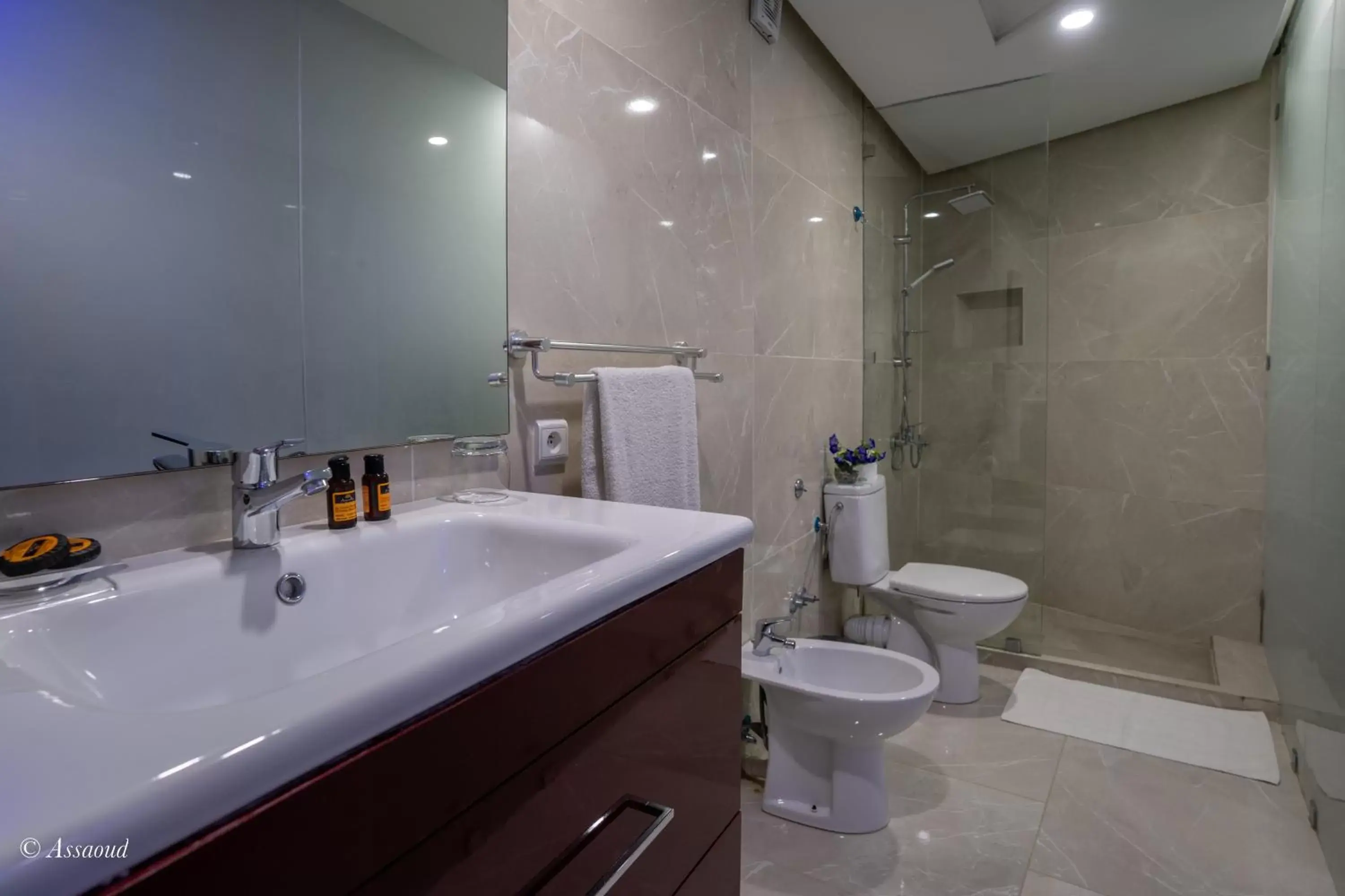 Double Room with Mountain View in Hôtel ZIRYAB Double Room with Mountain View in Hôtel ZIRYAB