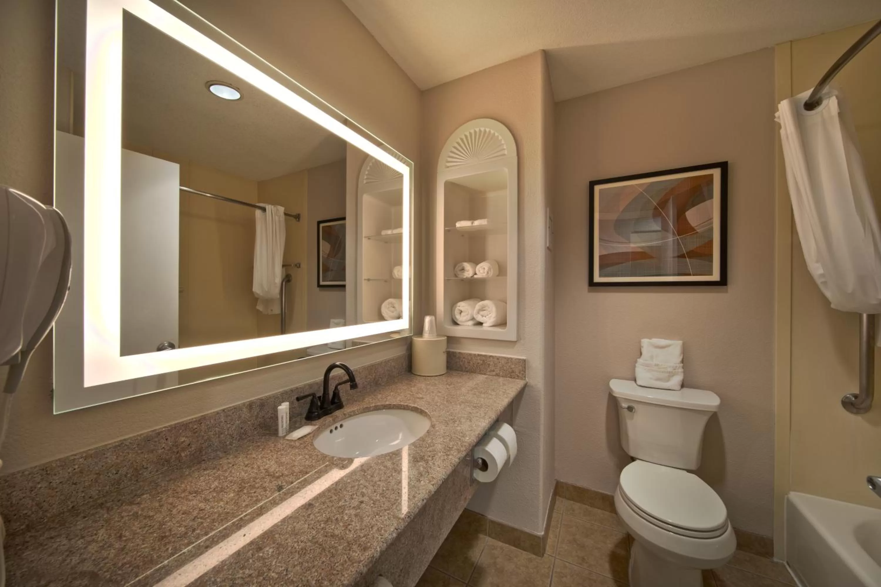 Bathroom in Wingate by Wyndham Houston Bush Intercontinental Airport