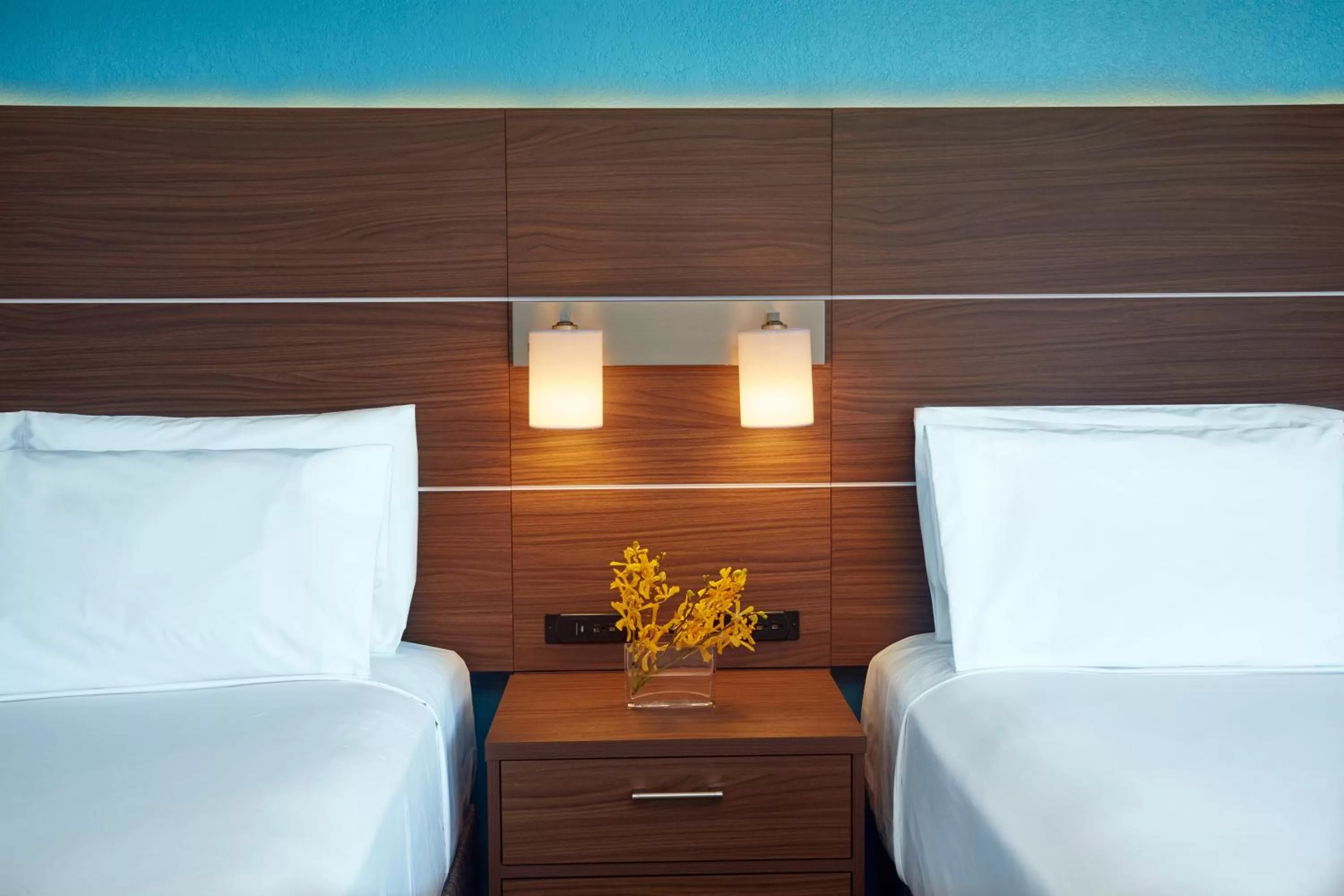 Queen Room - Mobility Access Roll in Shower/Non-Smoking in Holiday Inn Express Waikiki, an IHG Hotel