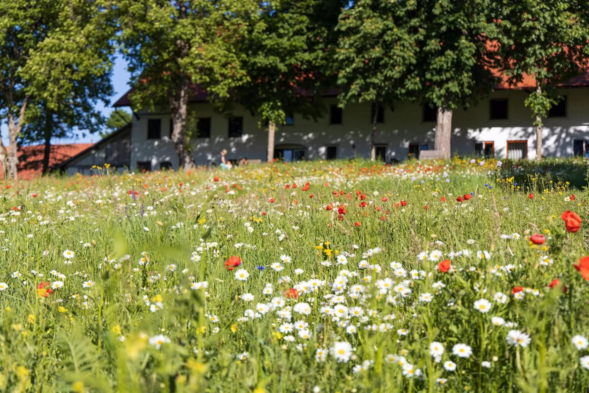 Garden in Hotel-Landgasthof KREUZ