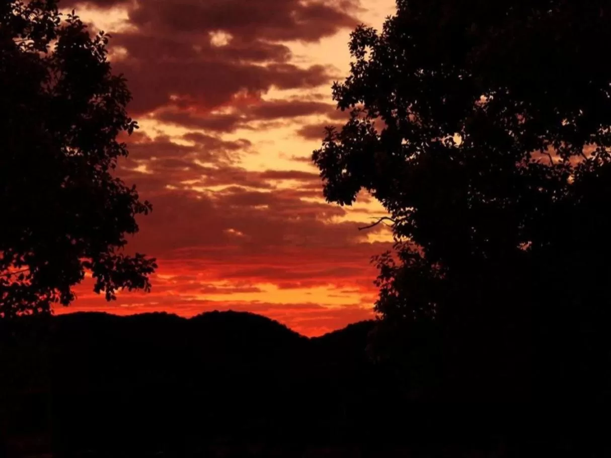 Natural landscape in Abenab Lodge & Tours cc