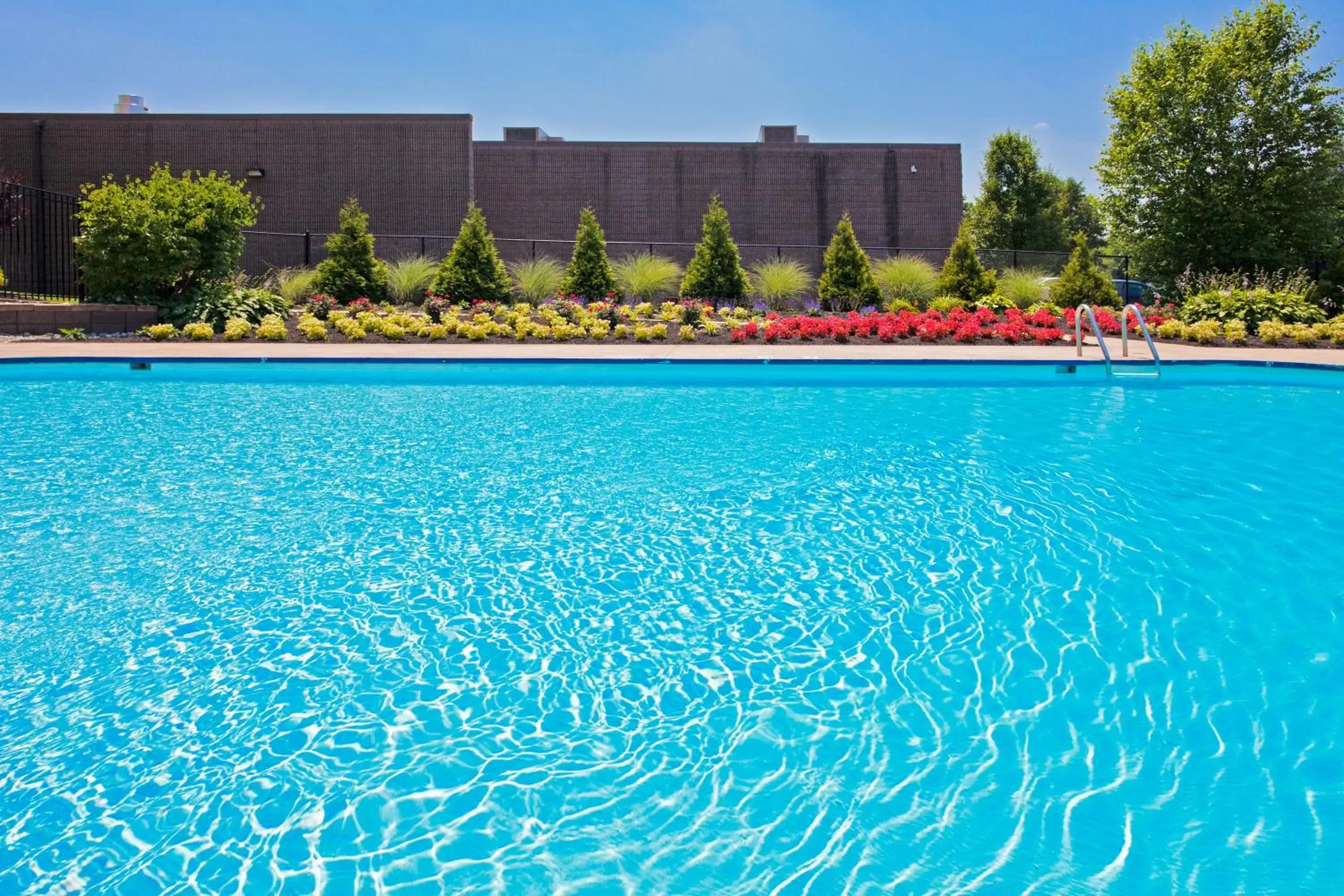 Swimming Pool in Radisson Freehold