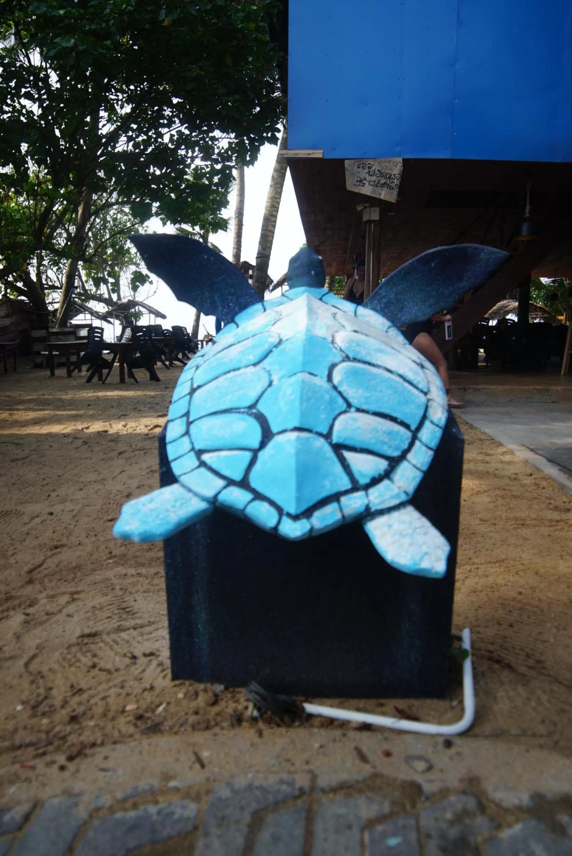 Turtle Bay Beach Resort