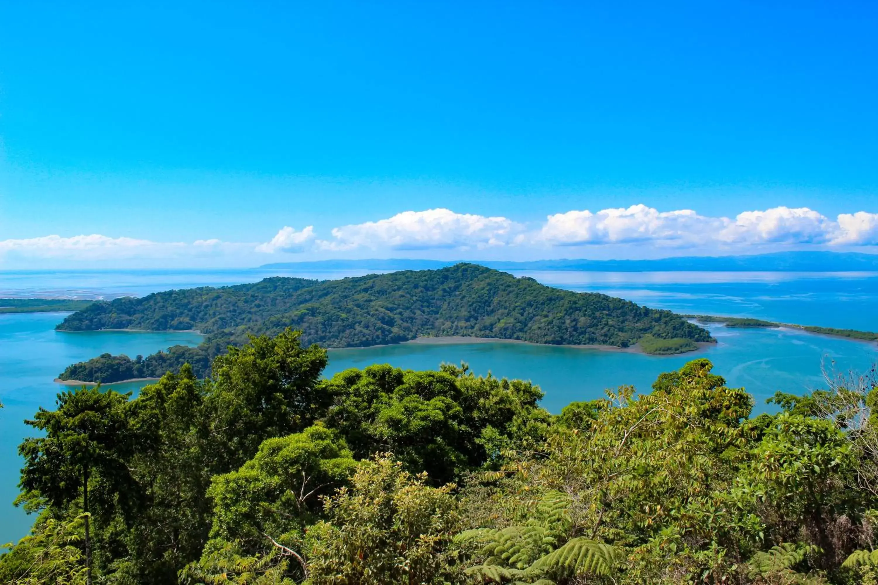 Natural landscape in Banana Bay Marina