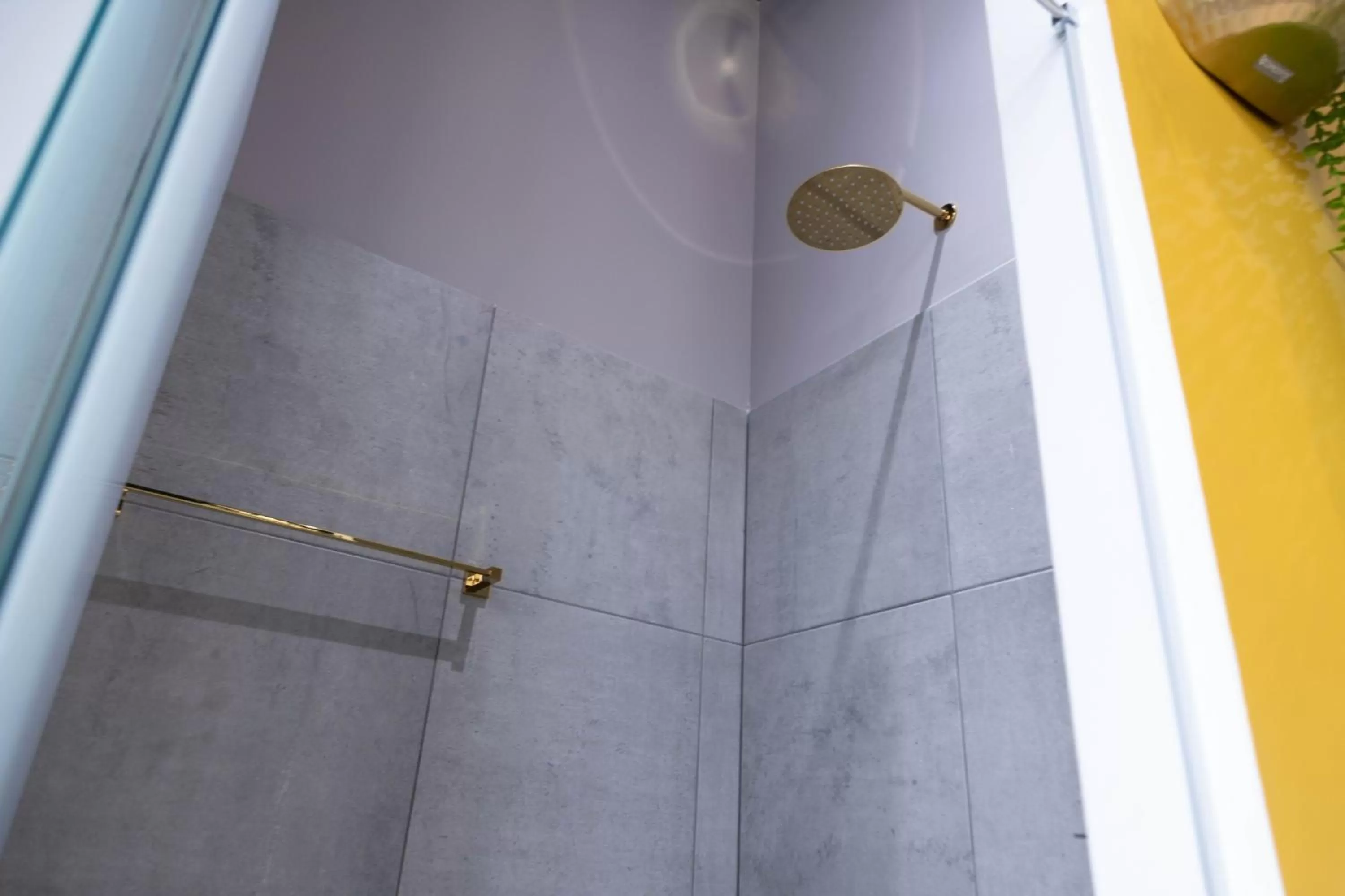 Shower in Royal Living Poblado