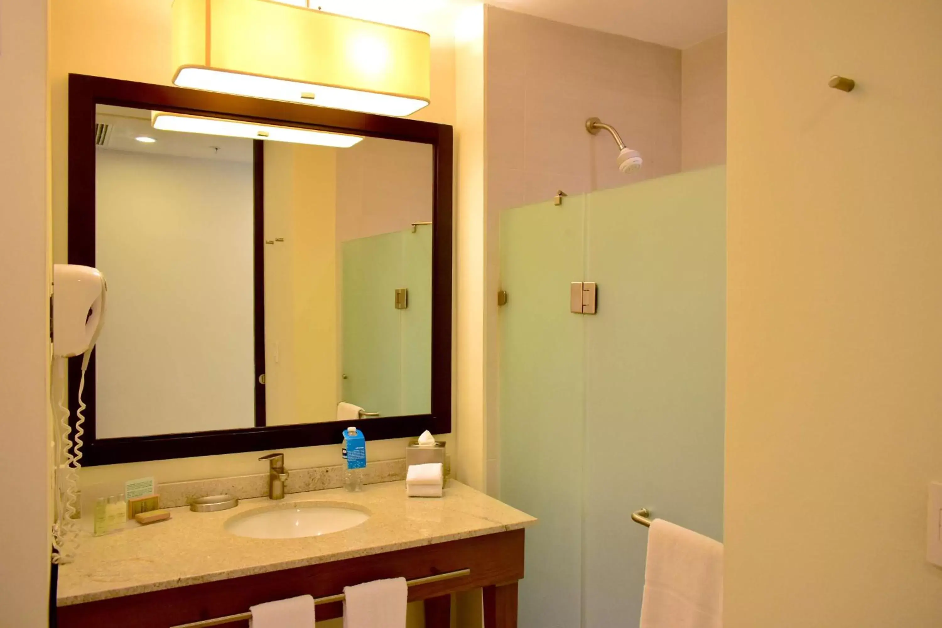 Bathroom in Hampton Inn by Hilton Ciudad del Carmen