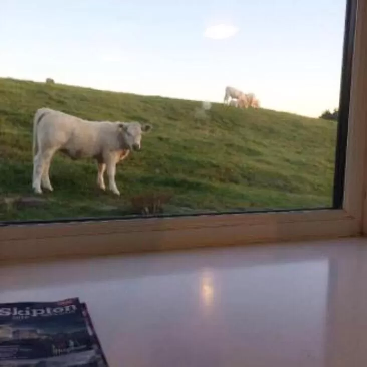 Animals in Chevin End Guest House