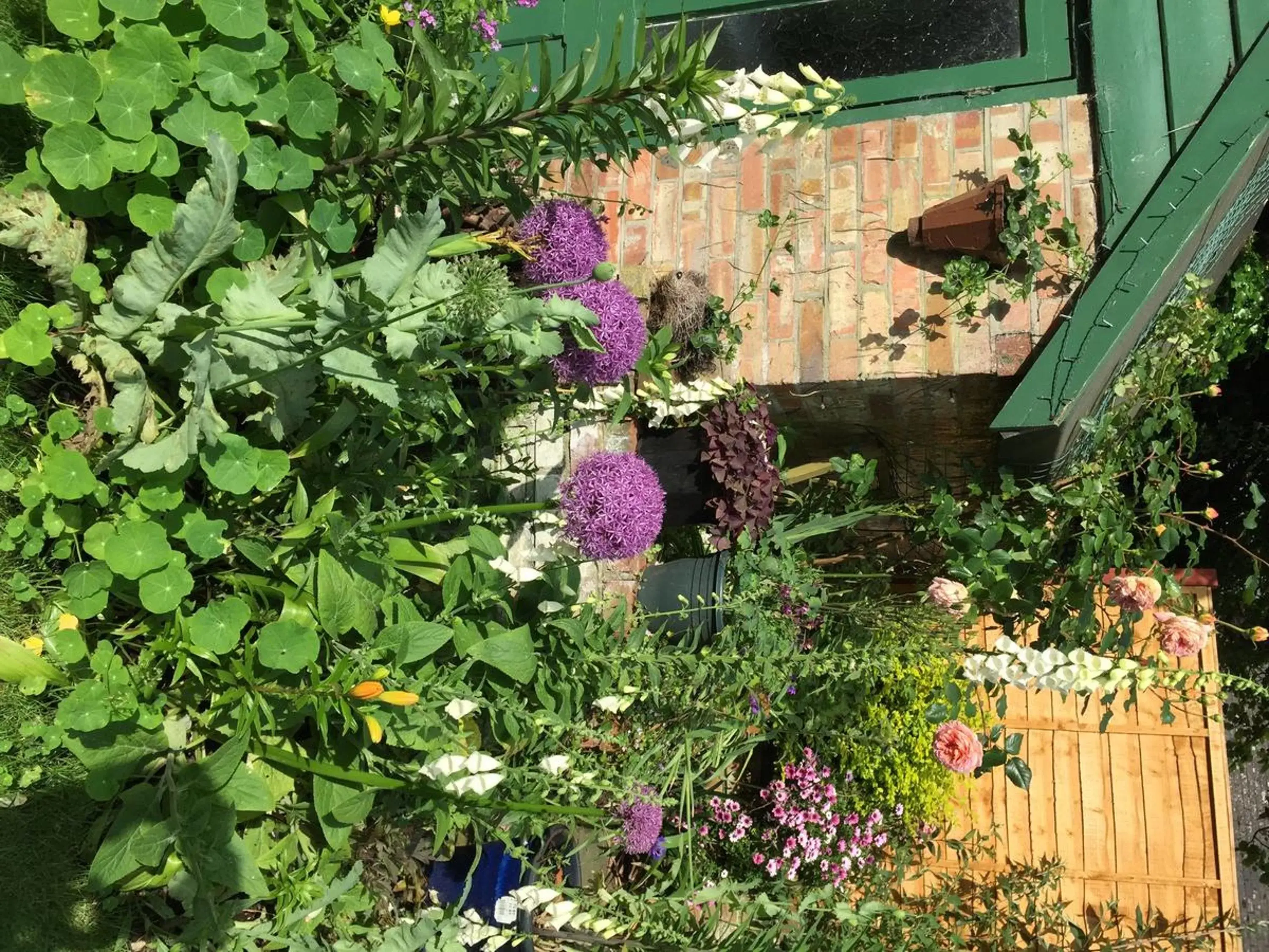 Garden in Fairlight Lodge