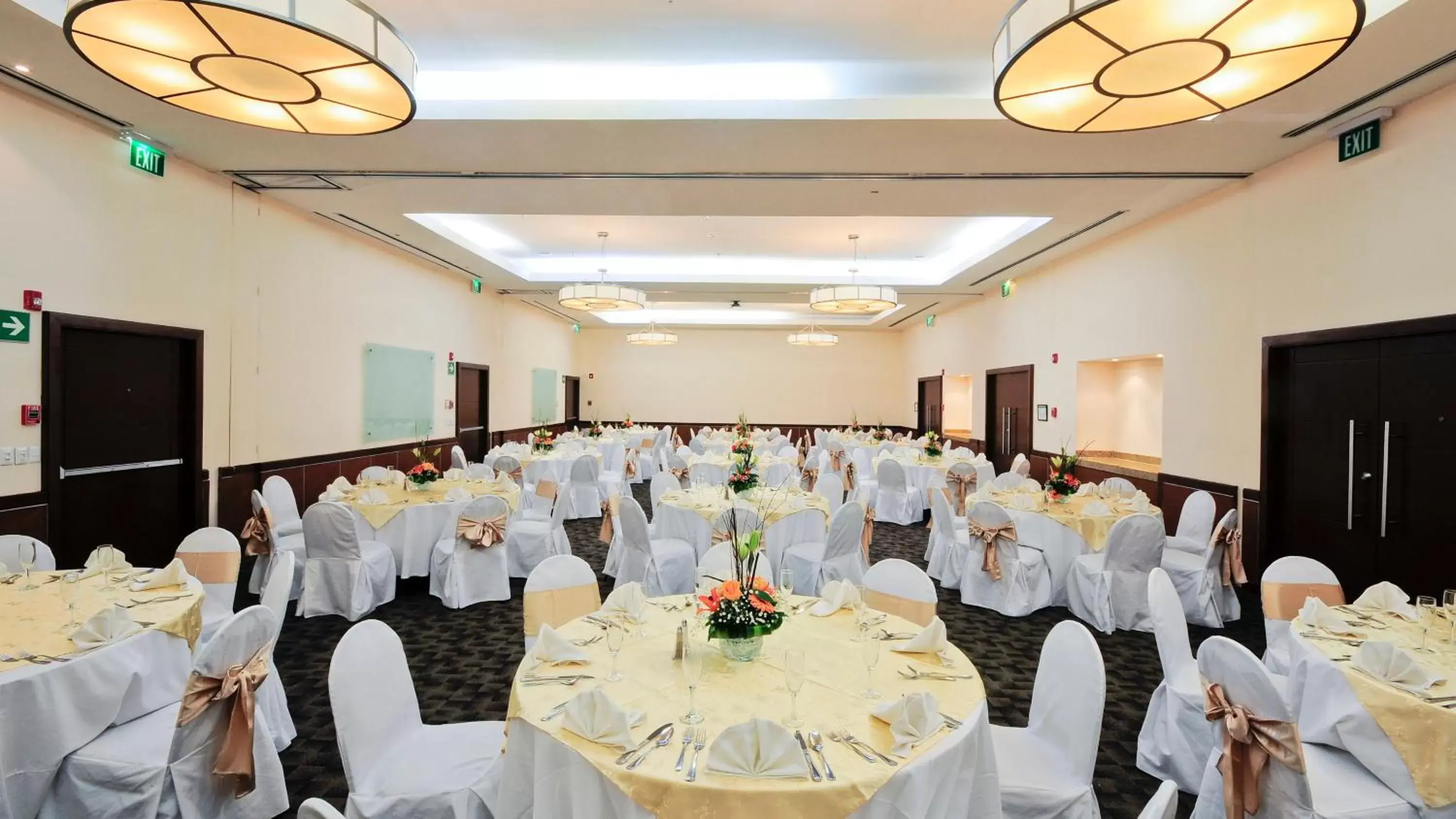 Meeting/conference room, Banquet Facilities in Holiday Inn Uruapan, an IHG Hotel