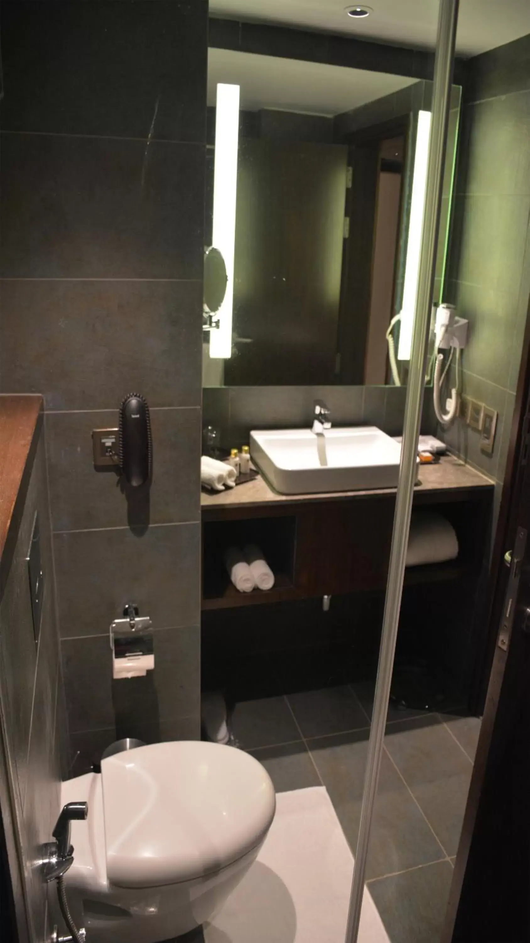 Toilet, Bathroom in Country Inns & Suites By Radisson Manipal