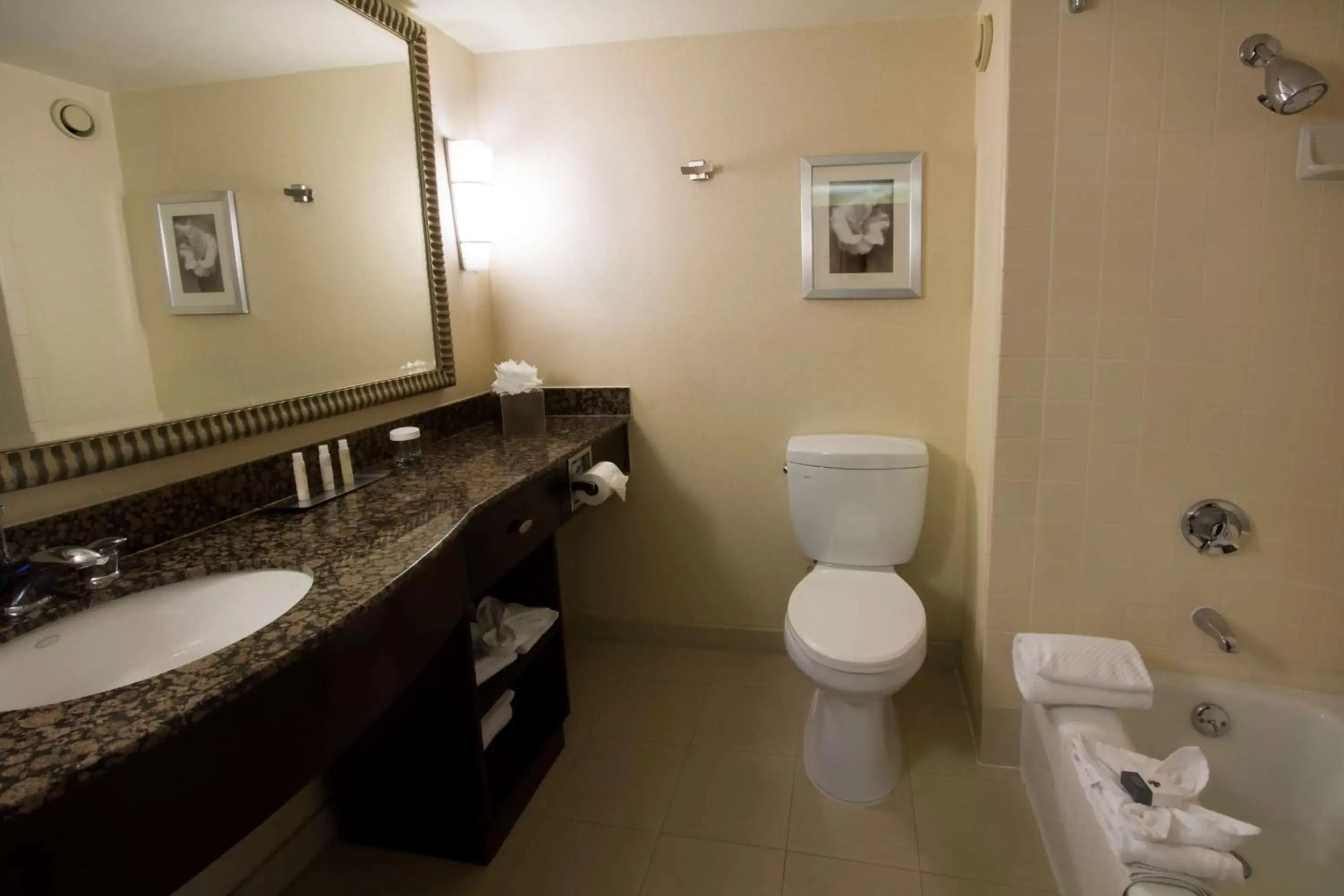 Bathroom in DoubleTree by Hilton Orange County Airport