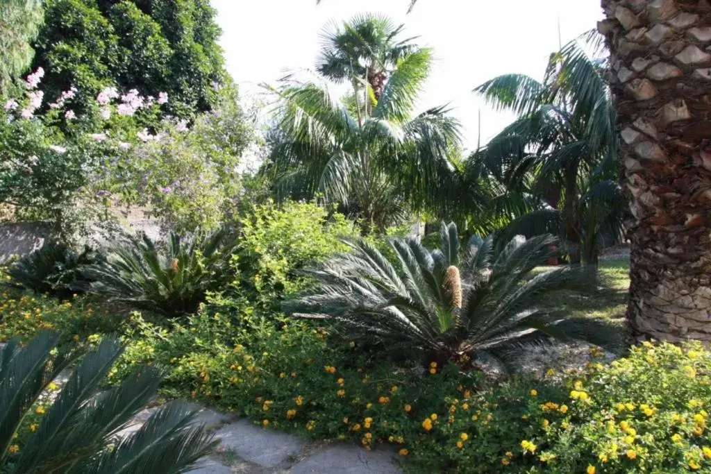 Garden in Il Gelso Bianco