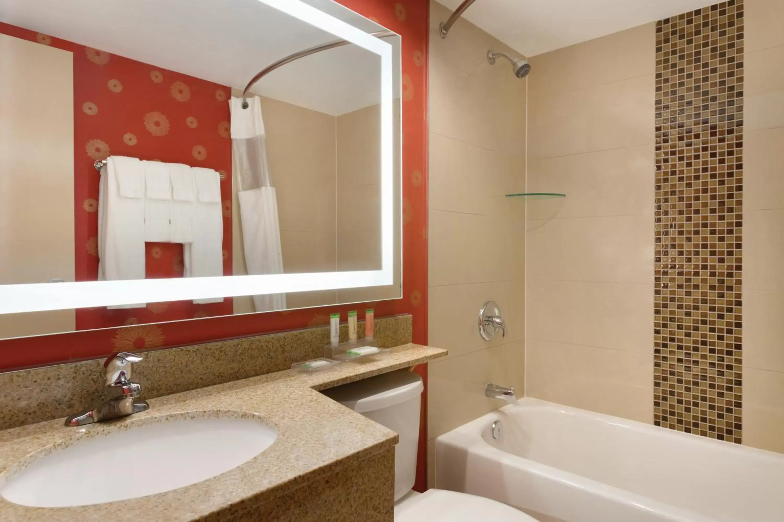 Bathroom in Park Inn by Radisson Toronto-Markham