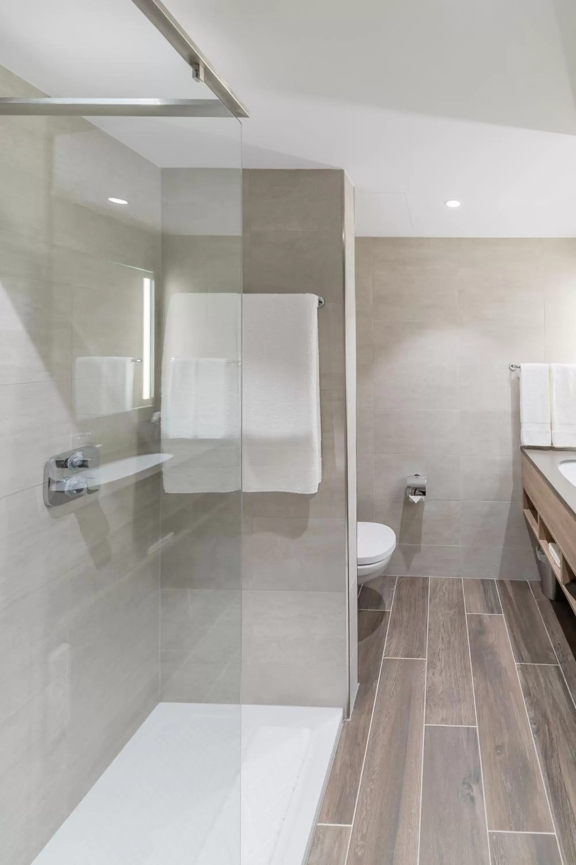 Shower, Bathroom in Hilton Garden Inn Wiener Neustadt