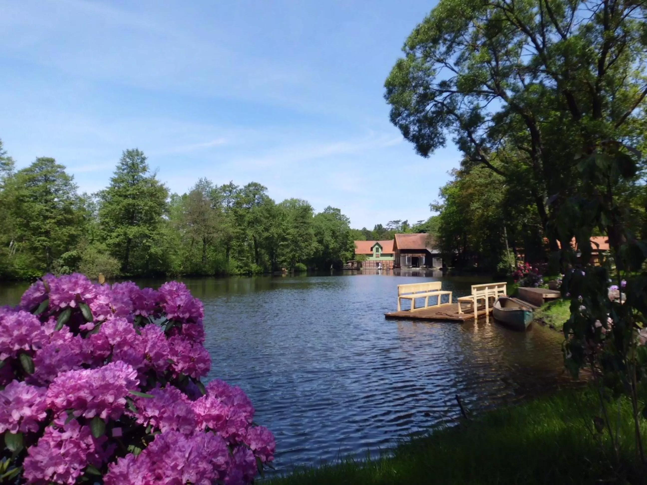Natural landscape in Hotel Hof Sudermühlen