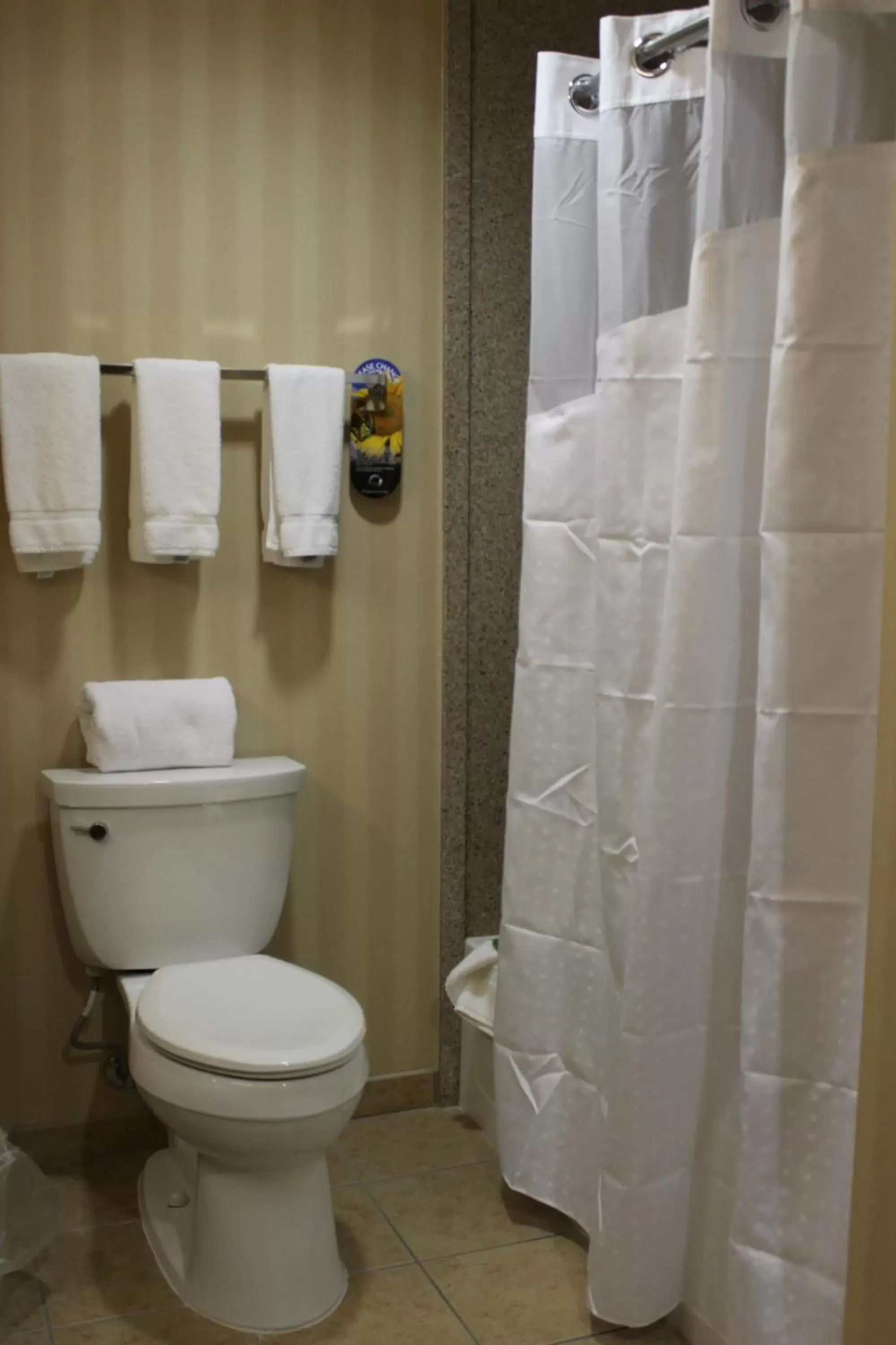 Bathroom in Holiday Inn Express Tehachapi, an IHG Hotel