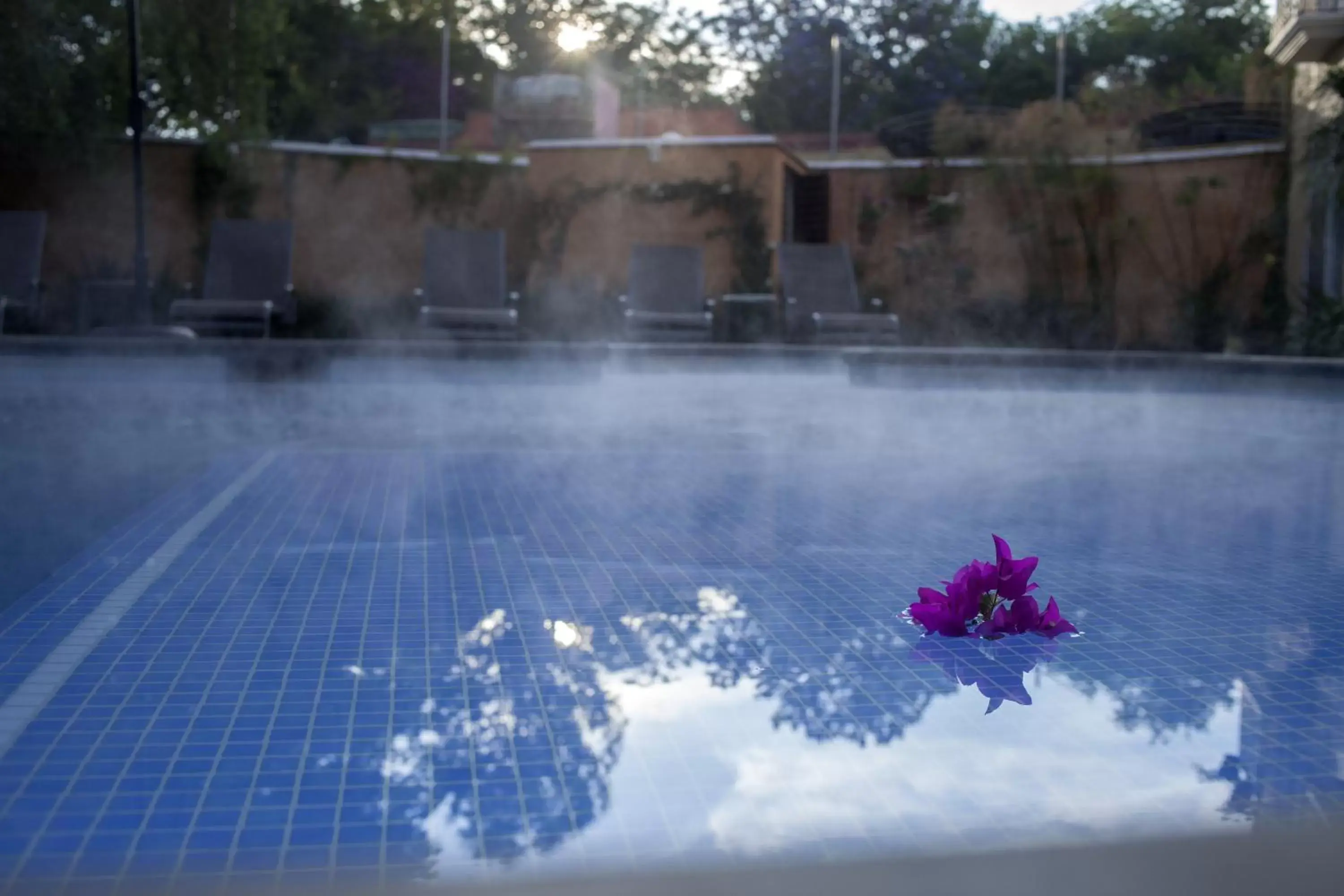 Swimming Pool in Hotel Boutique La Granja