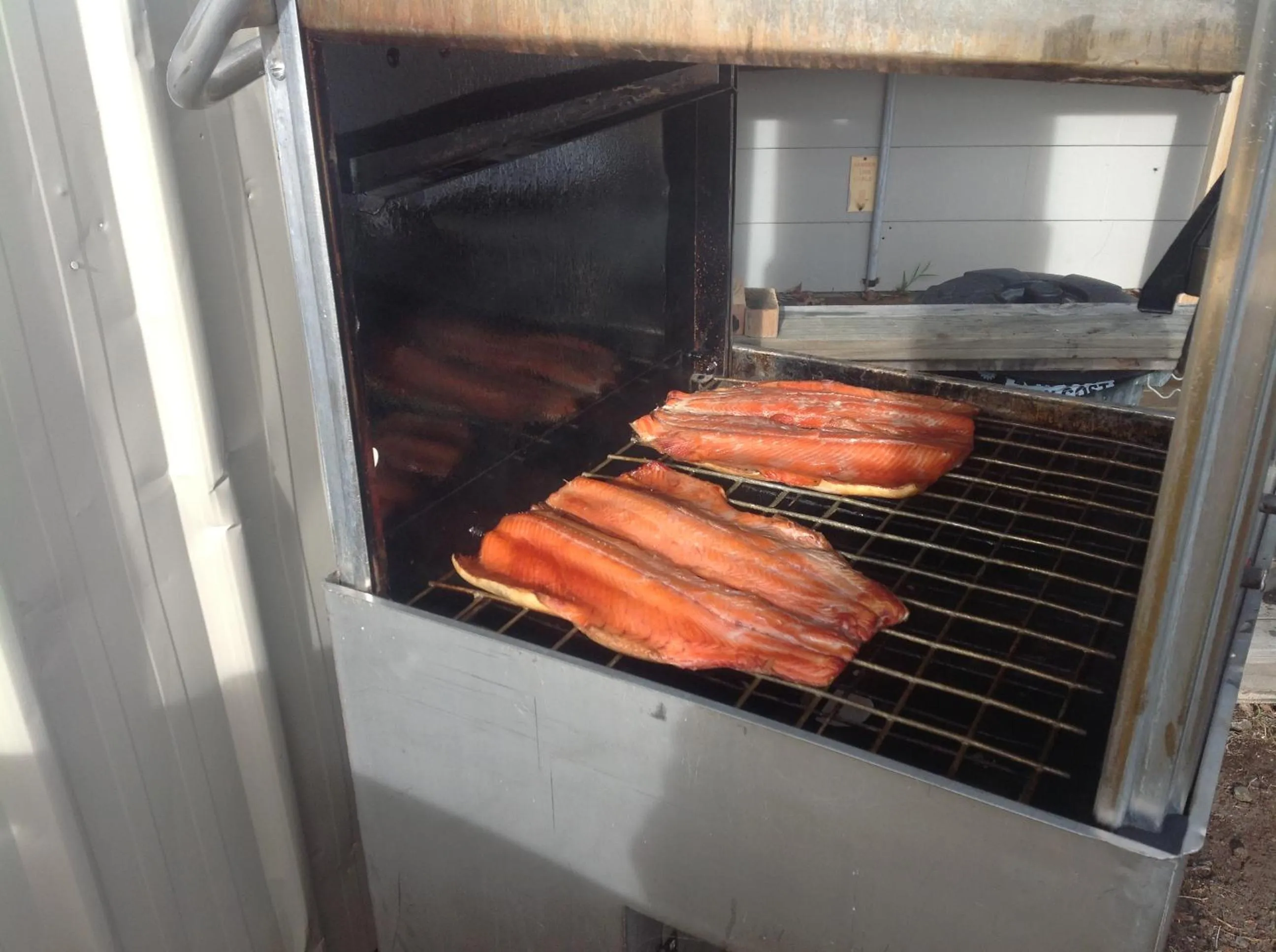 Fishing in All Seasons Holiday Park