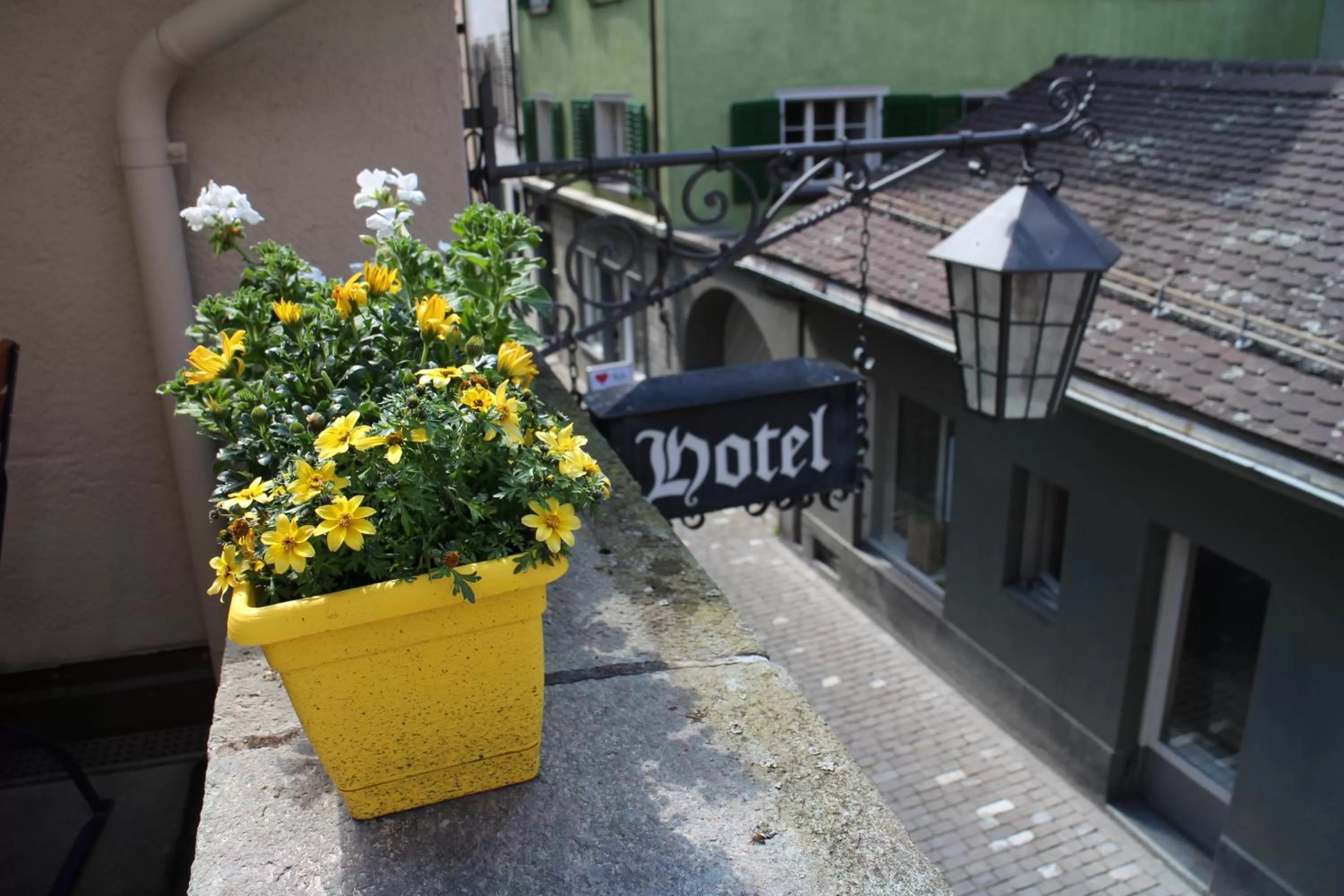 Facade/entrance in Zunfthaus zur Rebleuten