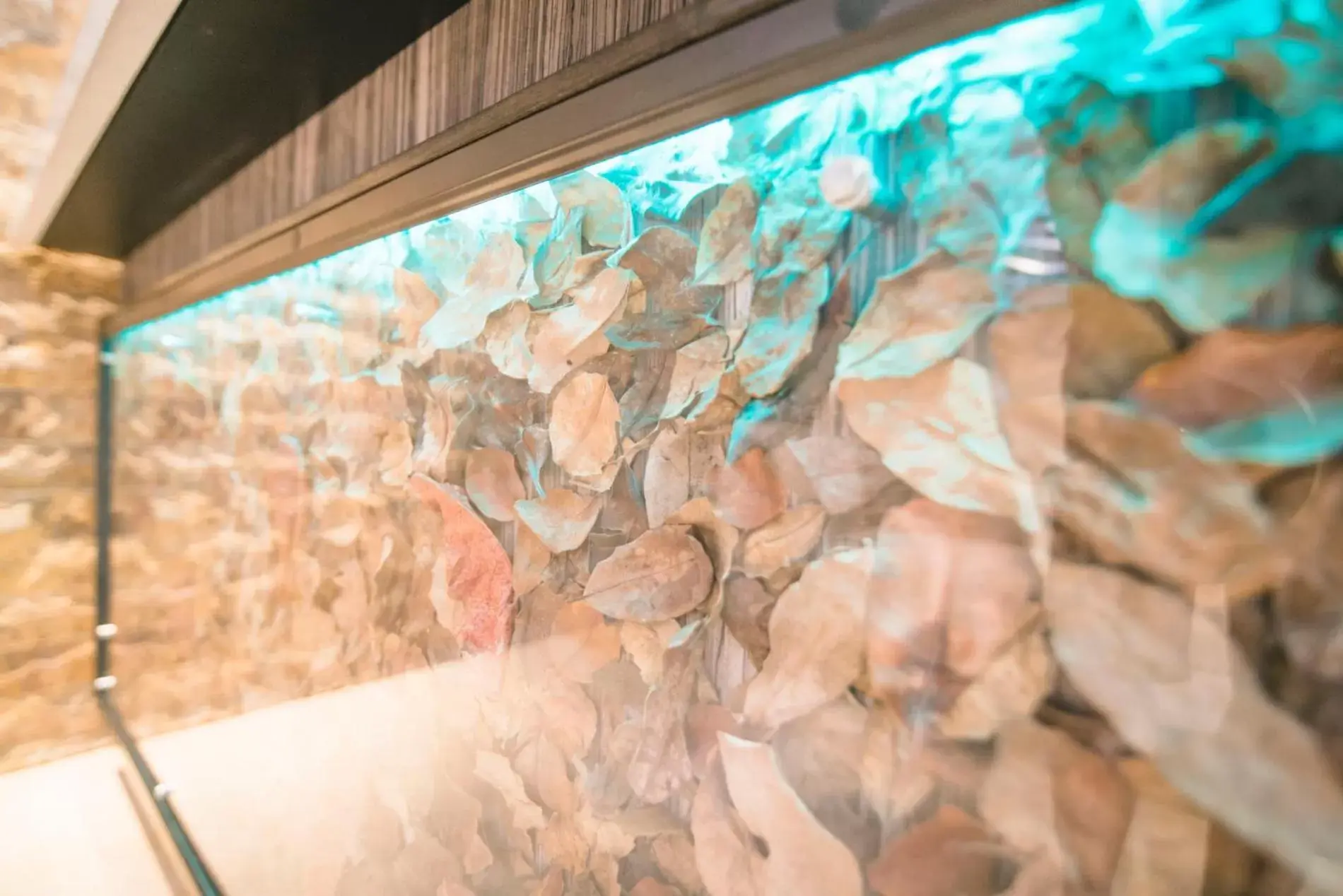 Lobby or reception in Ciqala Suites Hotel - San Juan Lobby or reception in Ciqala Suites Hotel - San Juan