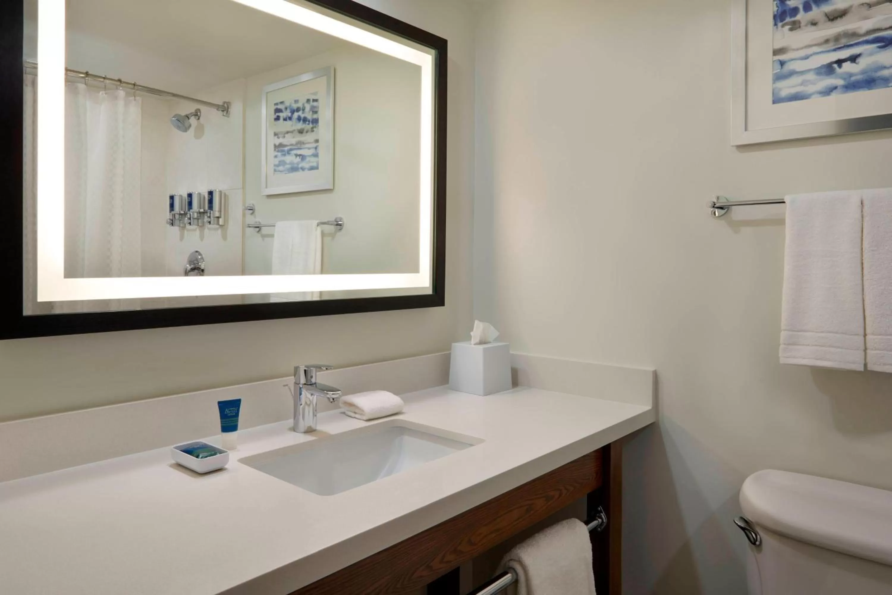 Bathroom in Four Points by Sheraton Toronto Airport