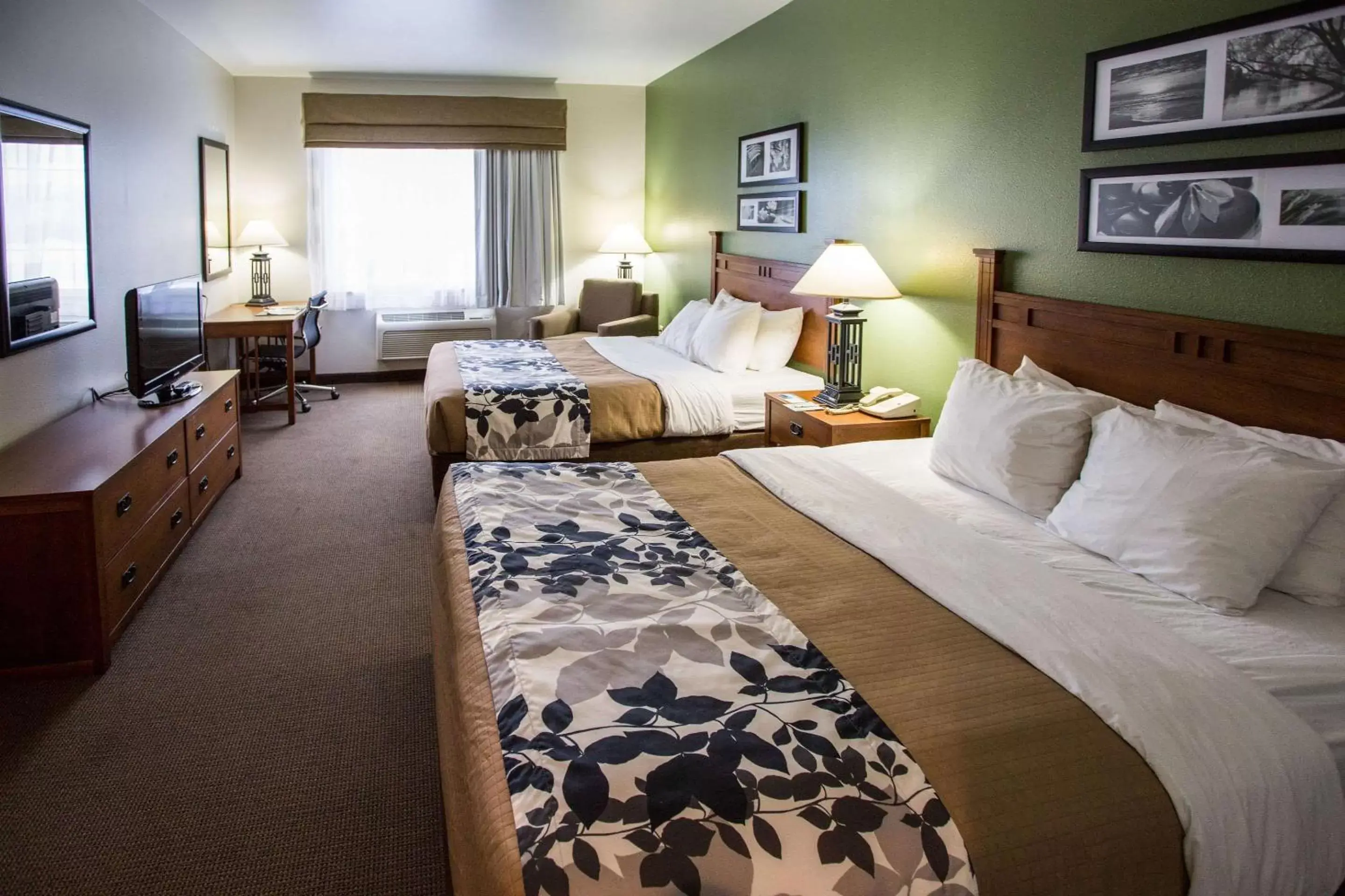 Photo of the whole room, Bed in Sleep Inn & Suites Conference Center Eau Claire