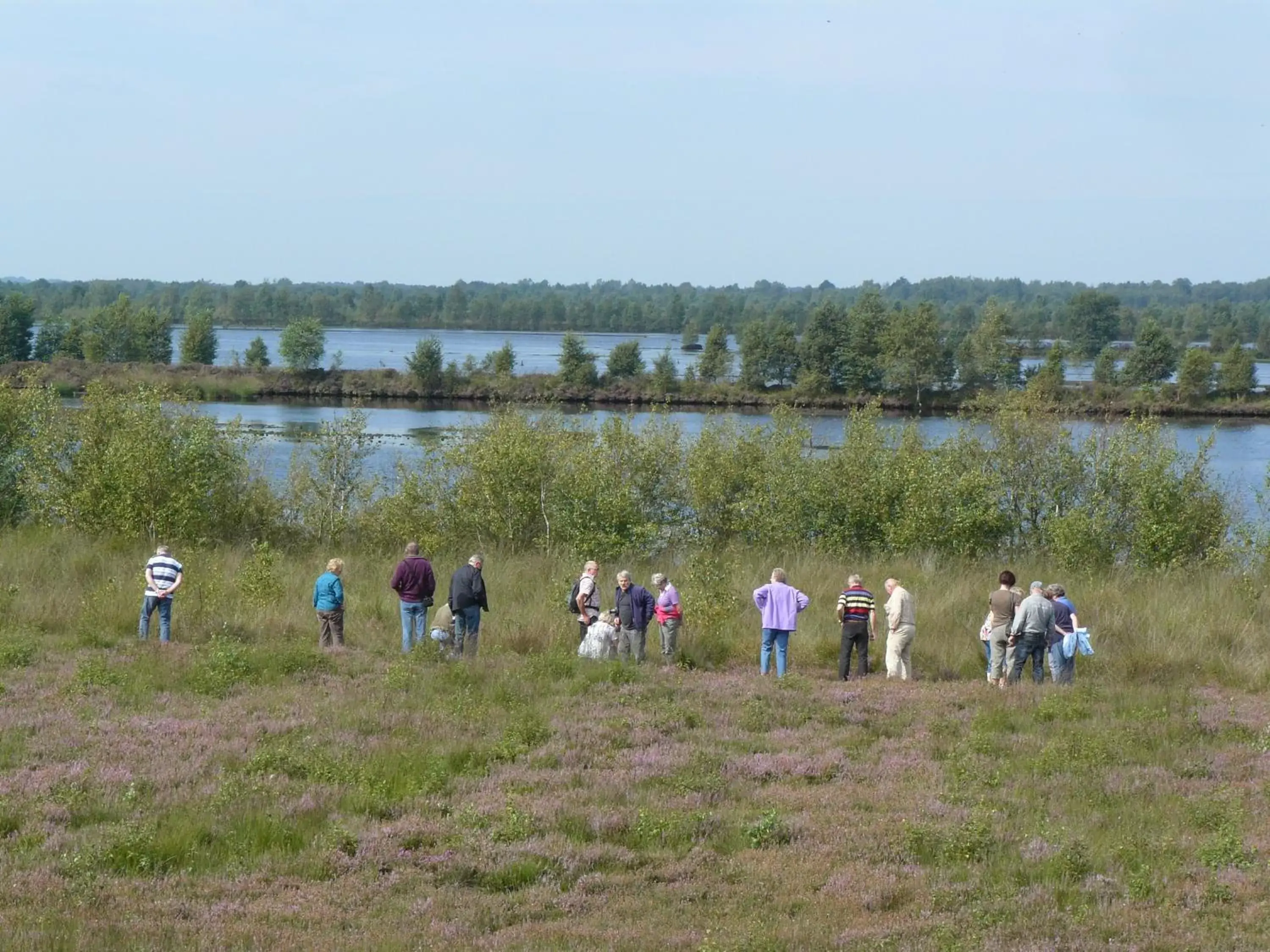 Activities in Stichting Veenloopcentrum Weiteveen