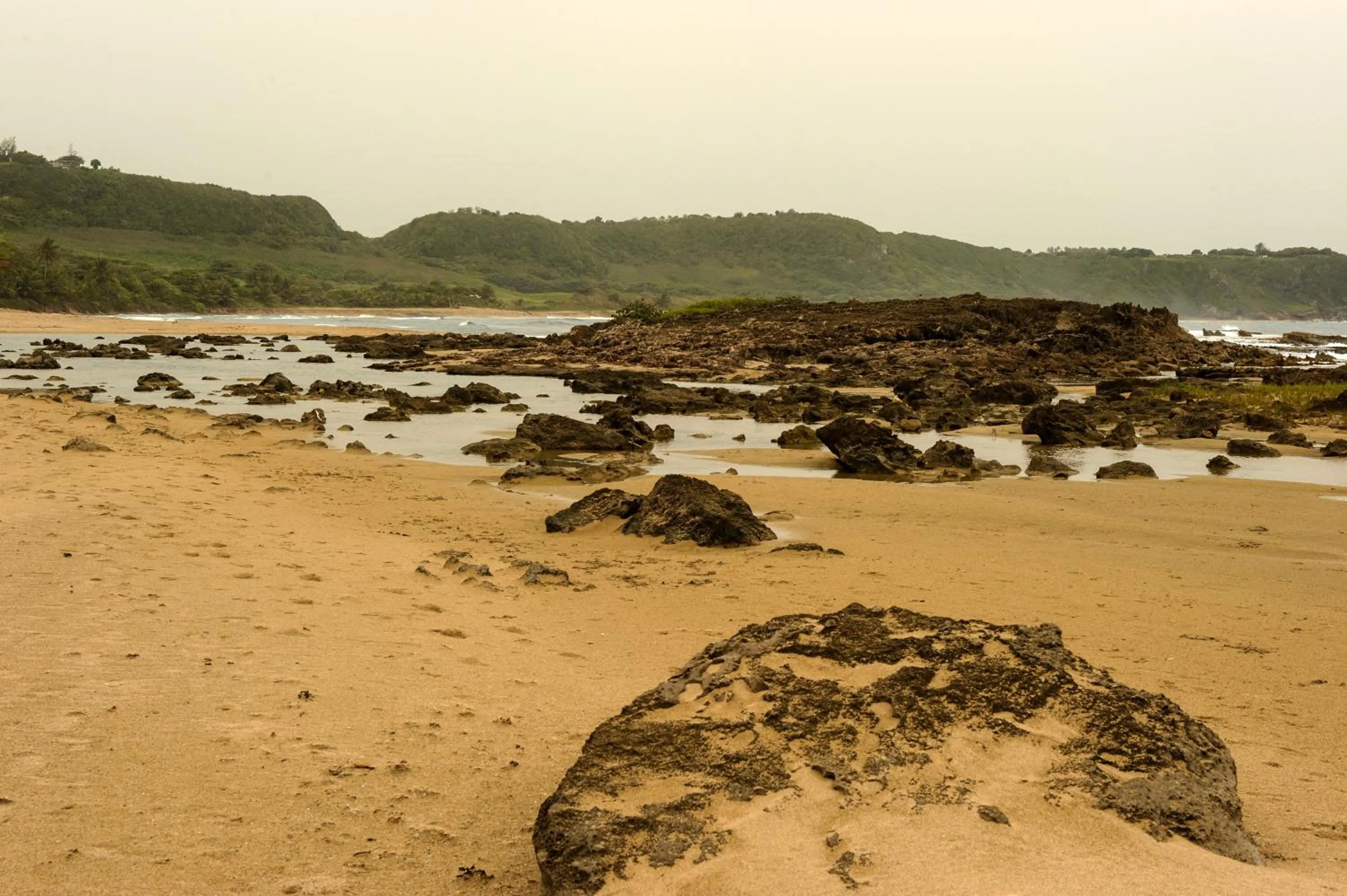 Beach in Royal Isabela