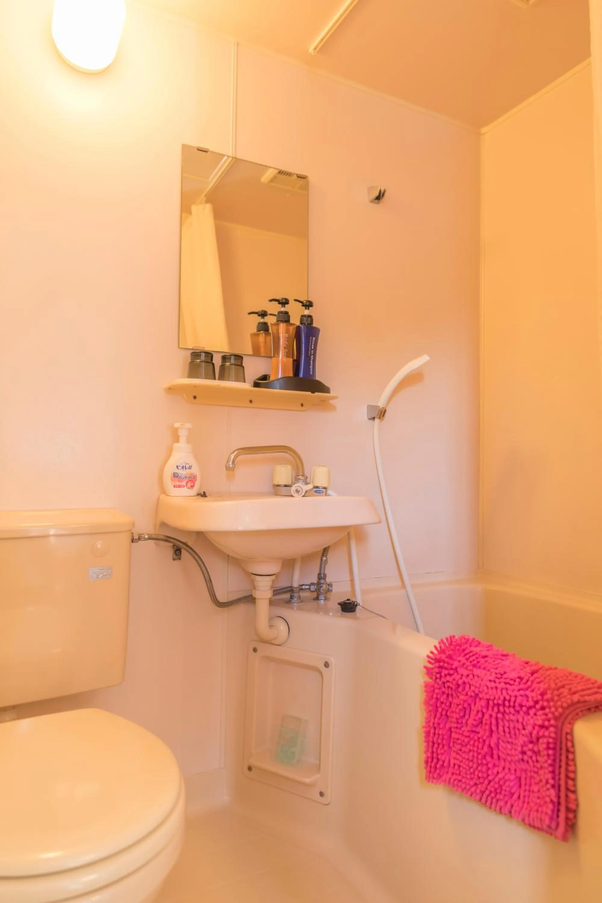 Nikko Park Lodge Mountain Side