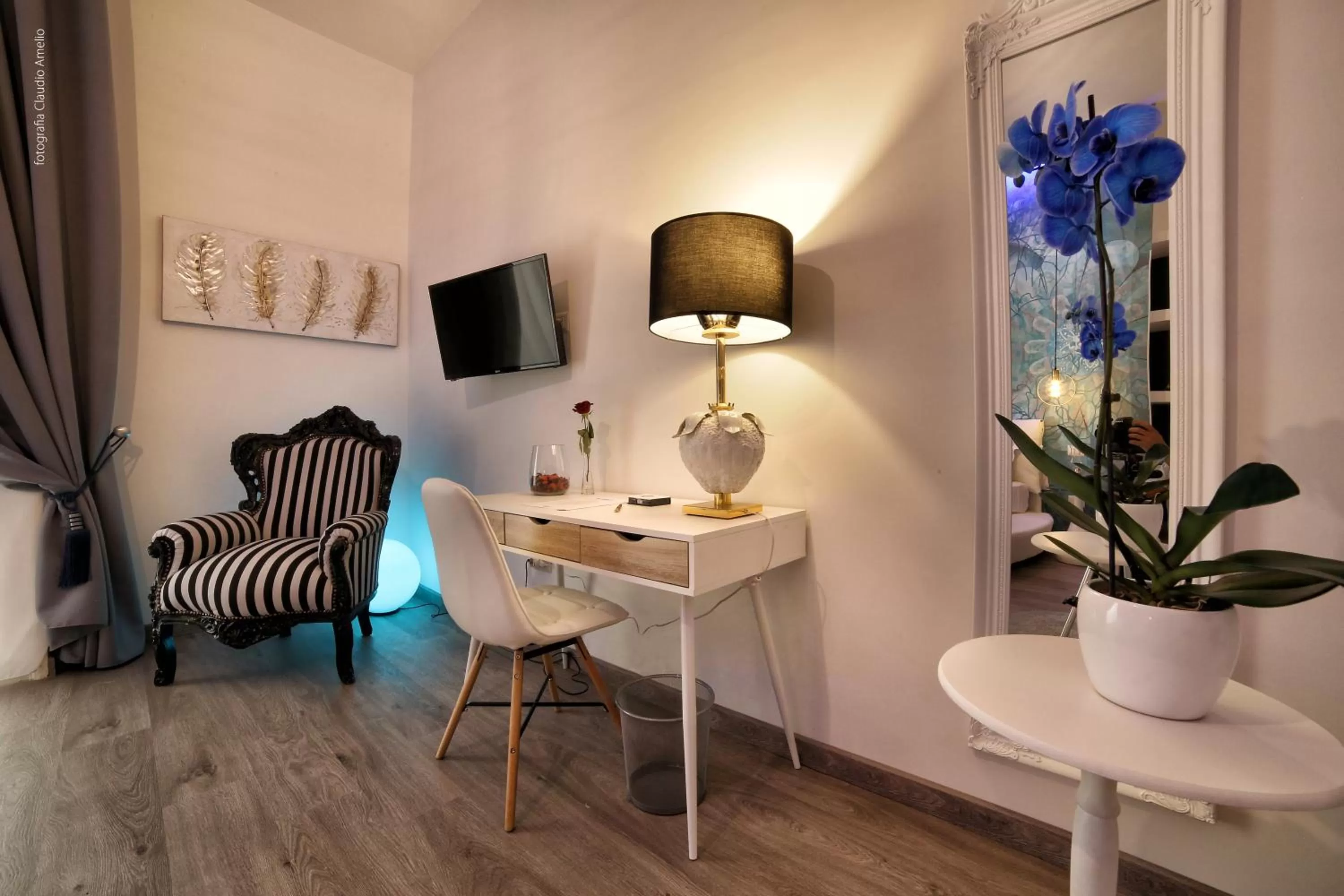 TV and multimedia in Bourbon House