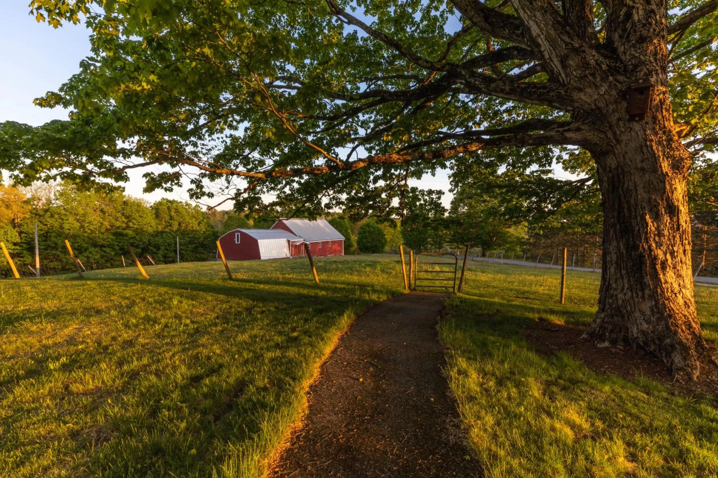 Natural landscape in Maple Hill Farm Inn