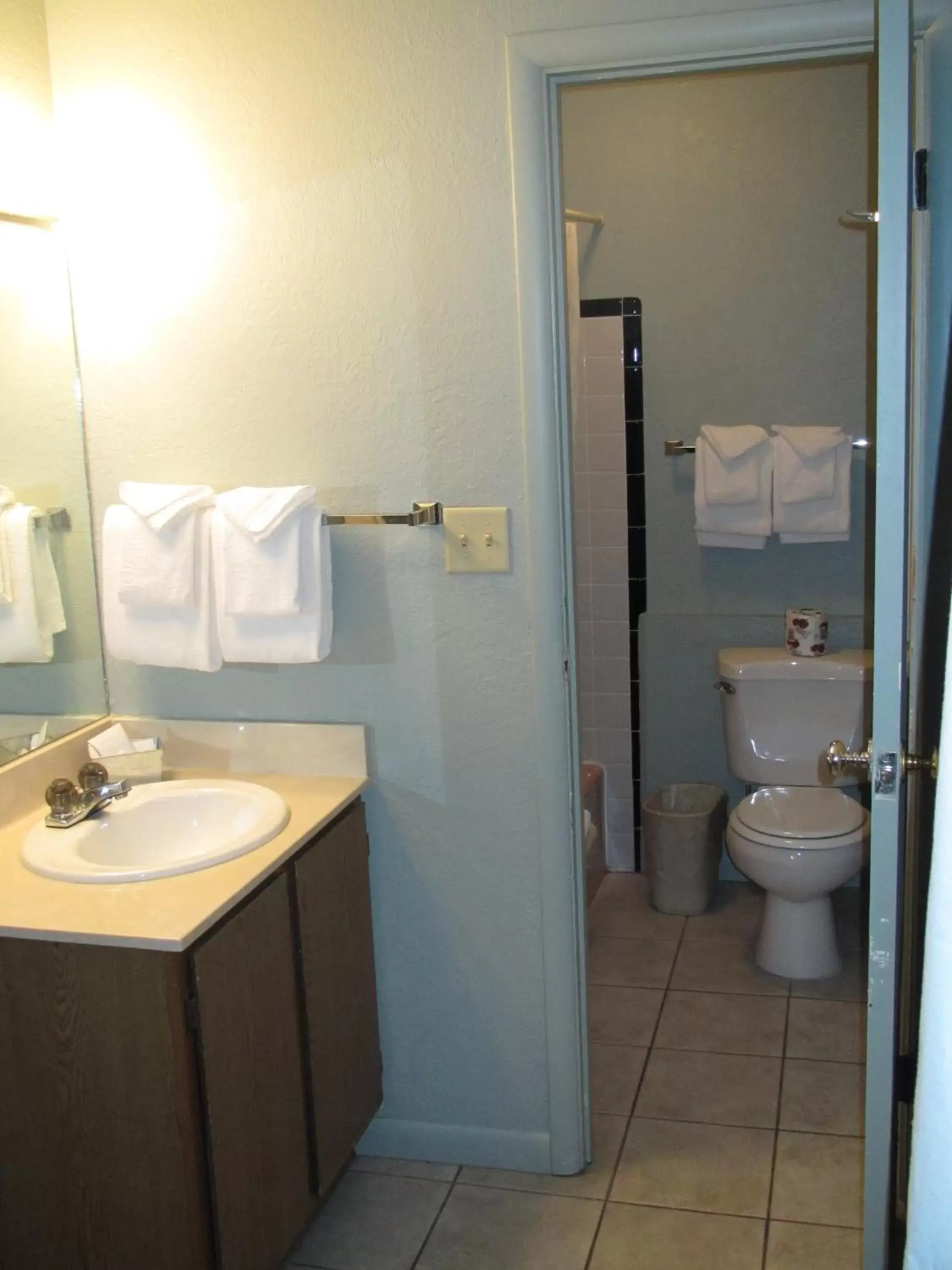 Bathroom in The Siesta Motel