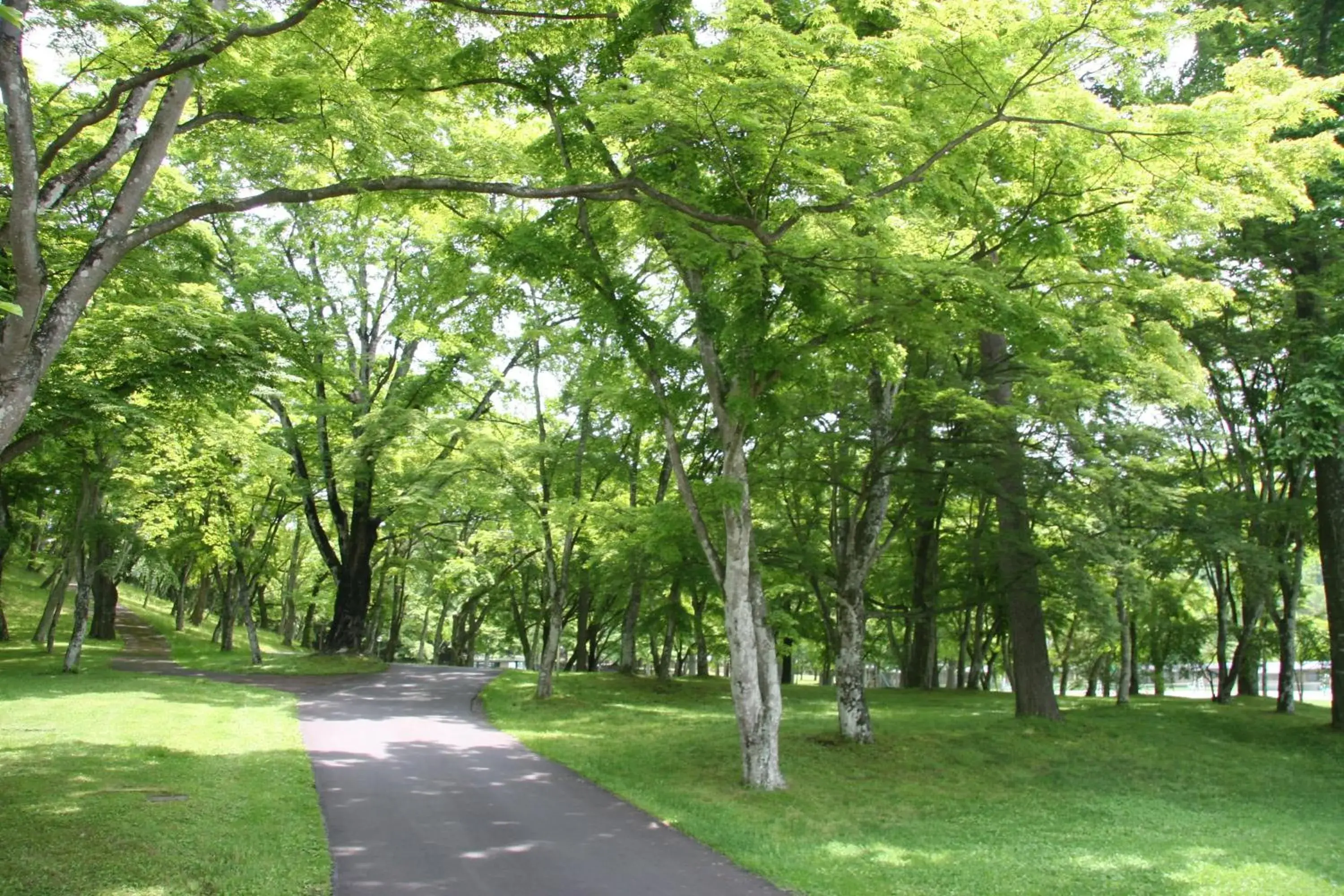 Garden in Karuizawa Prince Hotel West