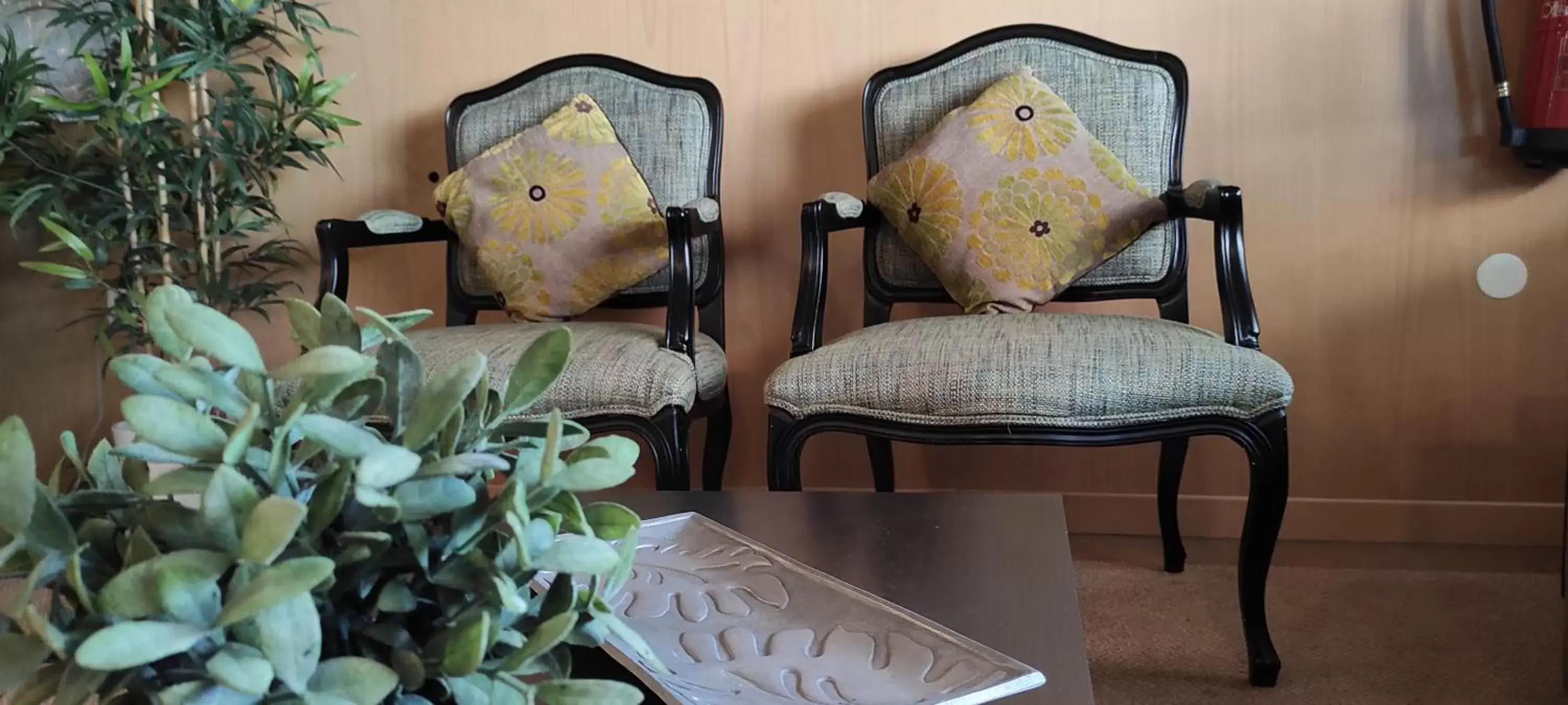 Living room, Seating Area in Hotel Sao Mamede