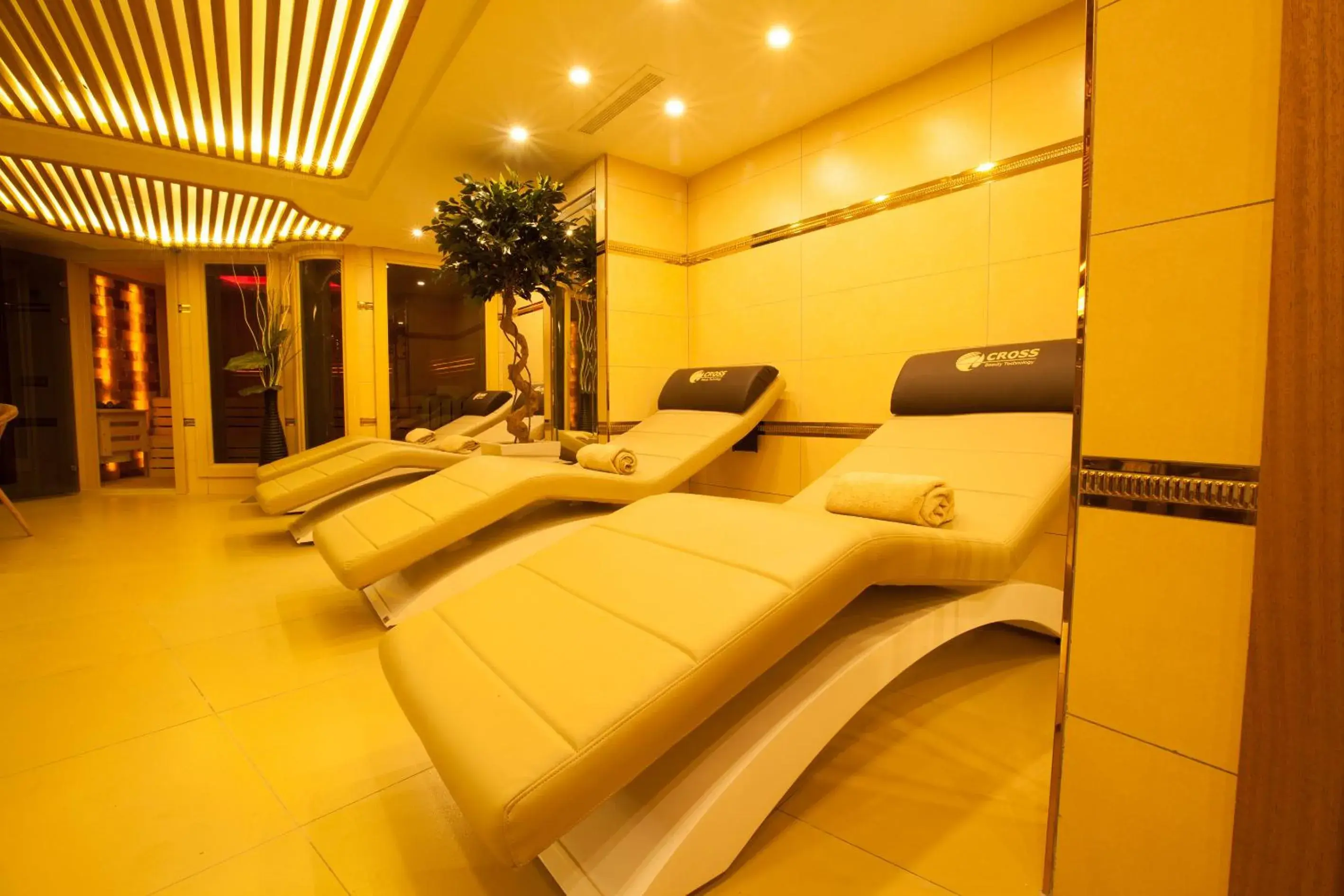 Sauna in Beethoven Hotel - Special Category