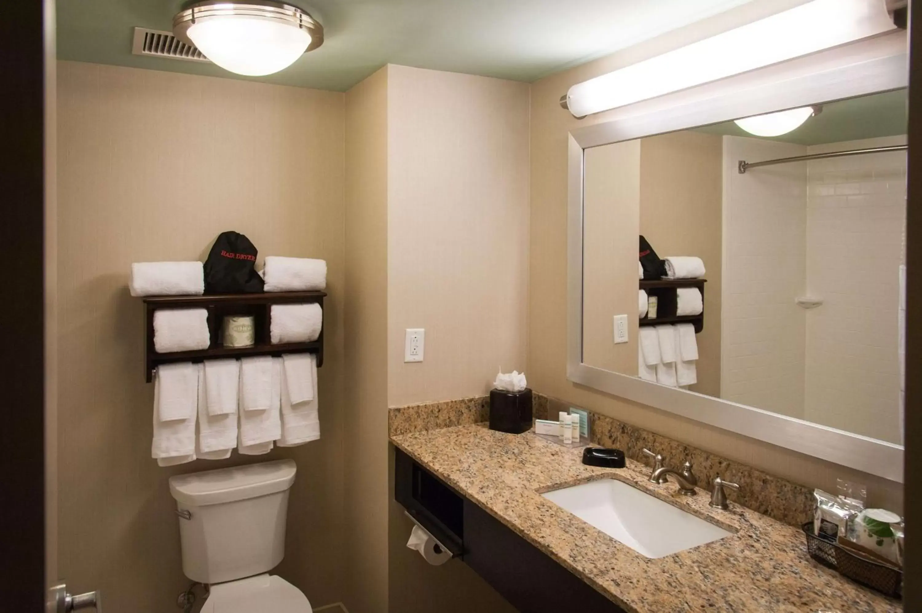 Bathroom in Hampton Inn & Suites Gulfport