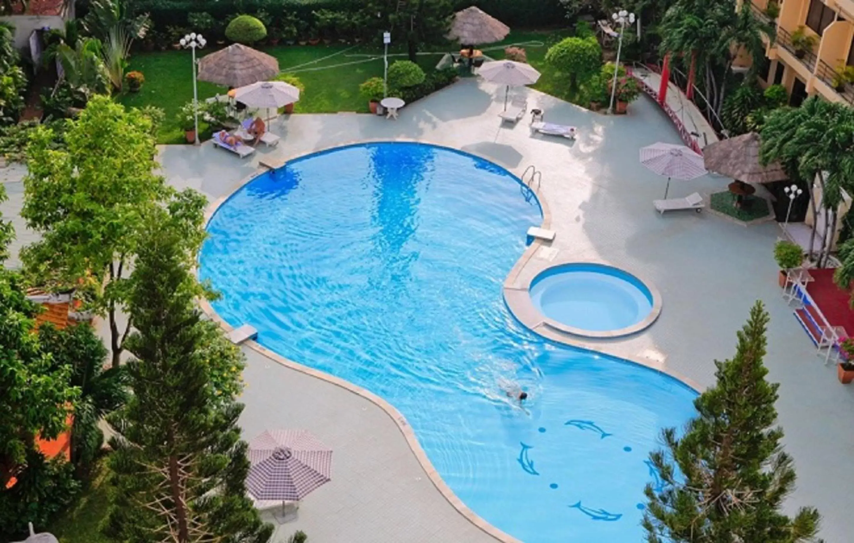 Swimming pool, Pool View in Rex Hotel