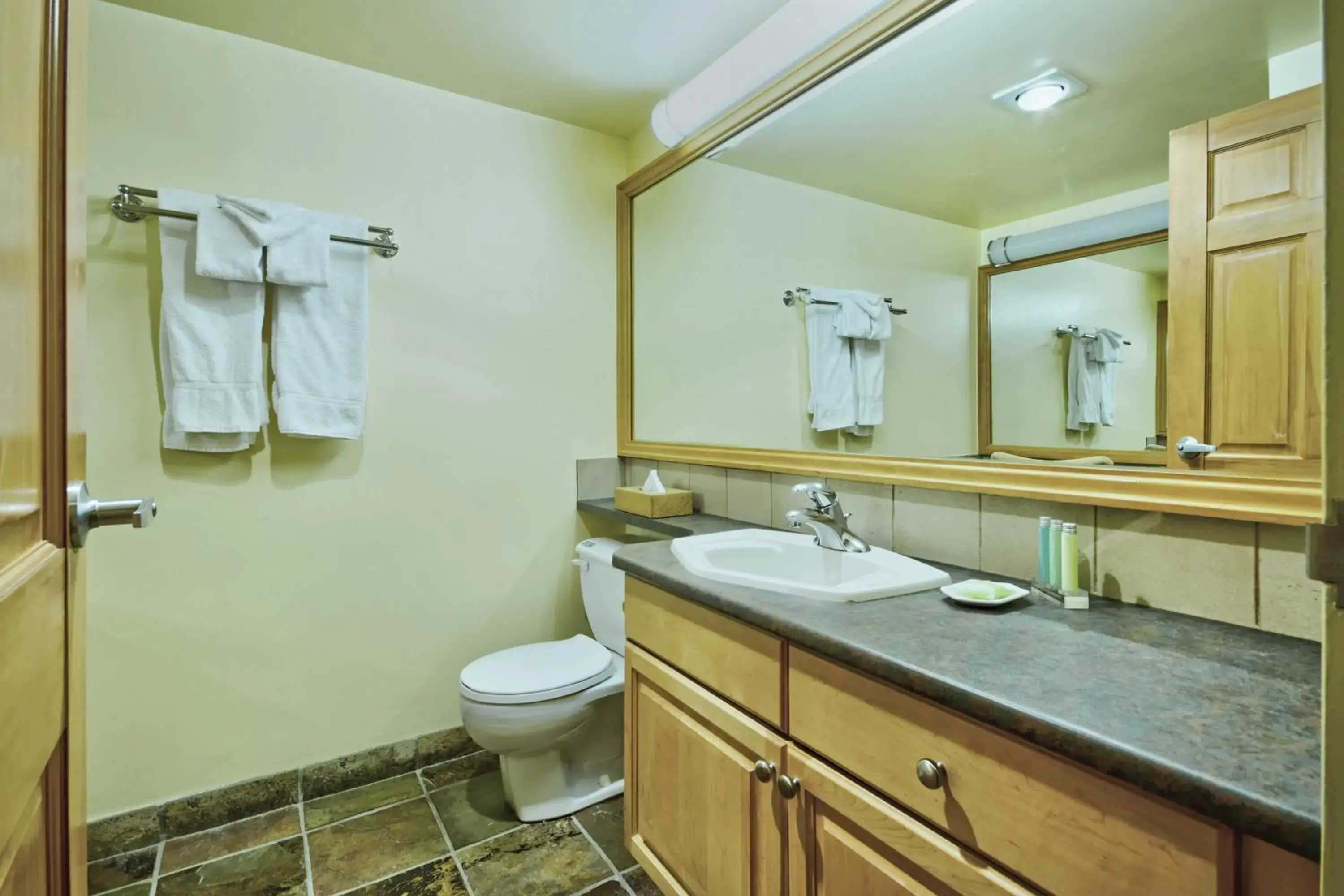 Photo of the whole room, Bathroom in Mountainside Lodge