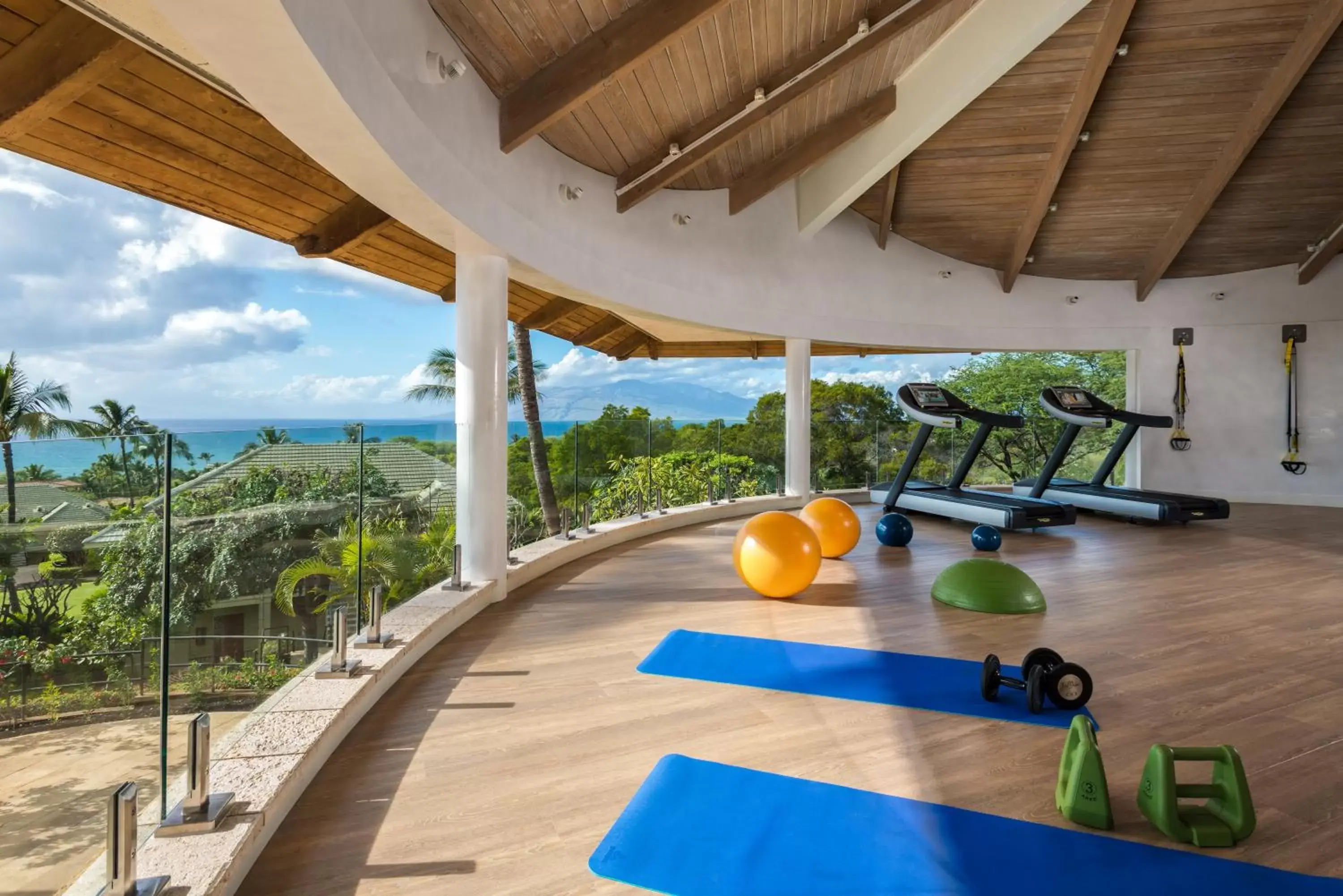 Fitness centre/facilities, View in Hotel Wailea, Relais & Châteaux - Adults Only