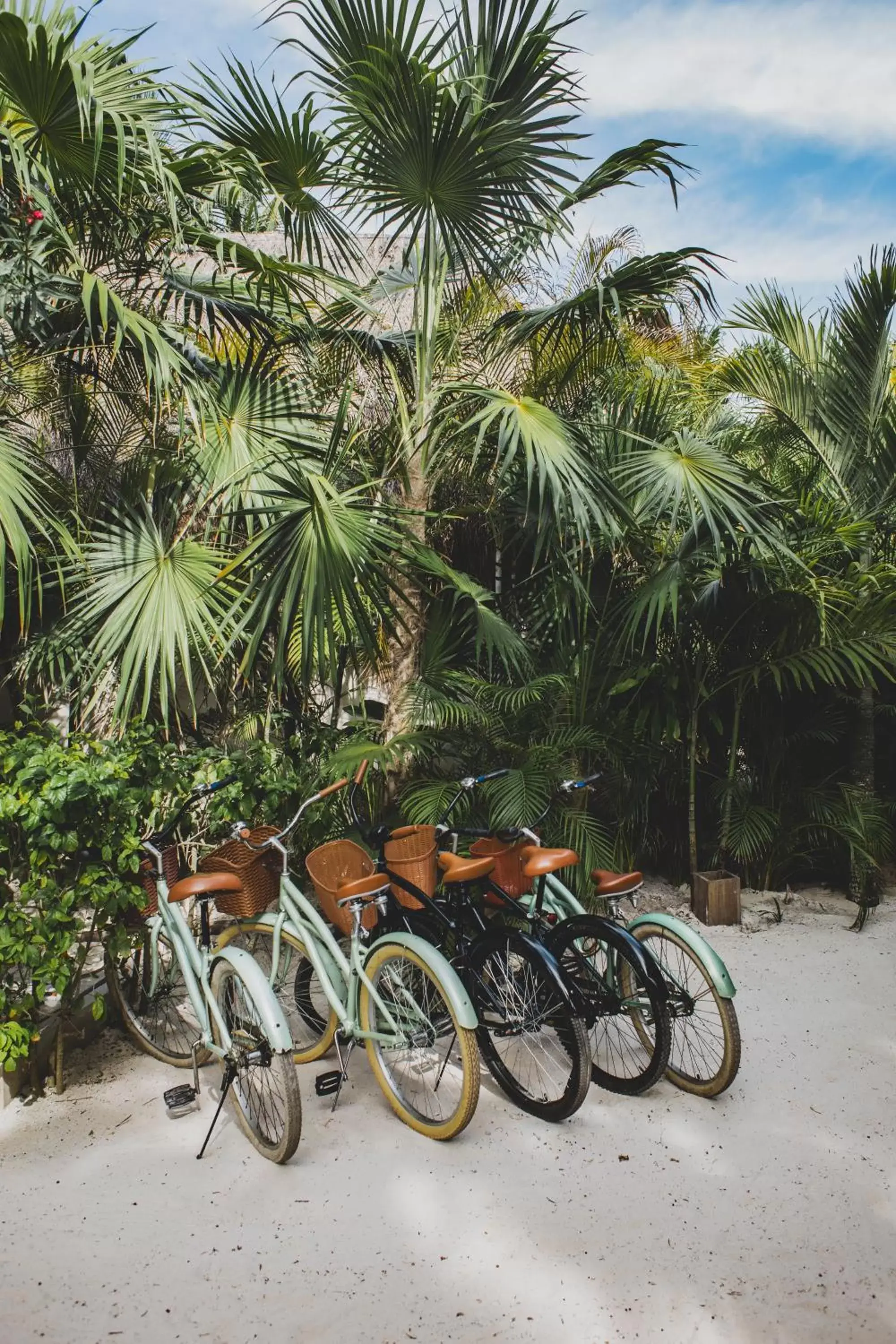 Cycling, Other Activities in La Valise Tulum