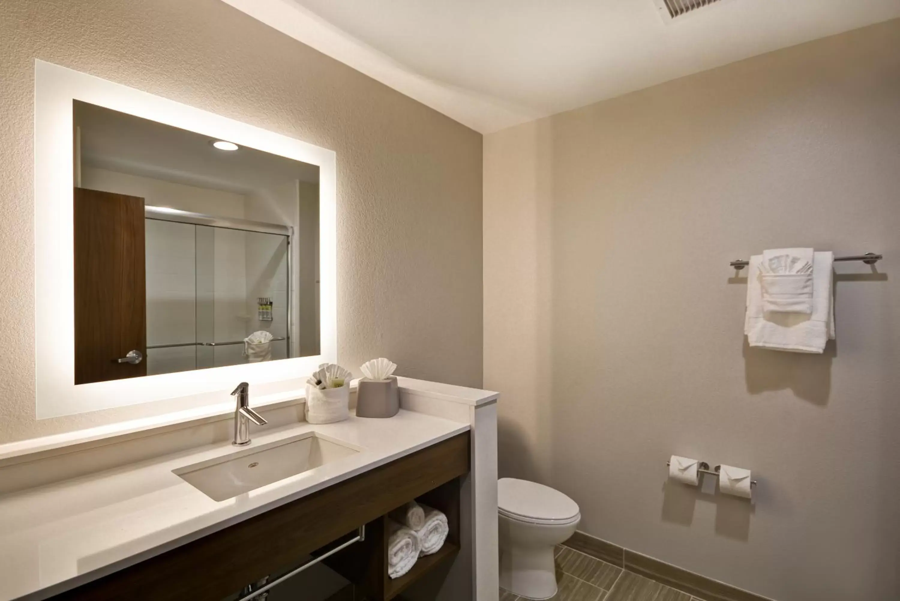 Bathroom in Holiday Inn Express & Suites - Houston NASA - Boardwalk Area, an IHG Hotel