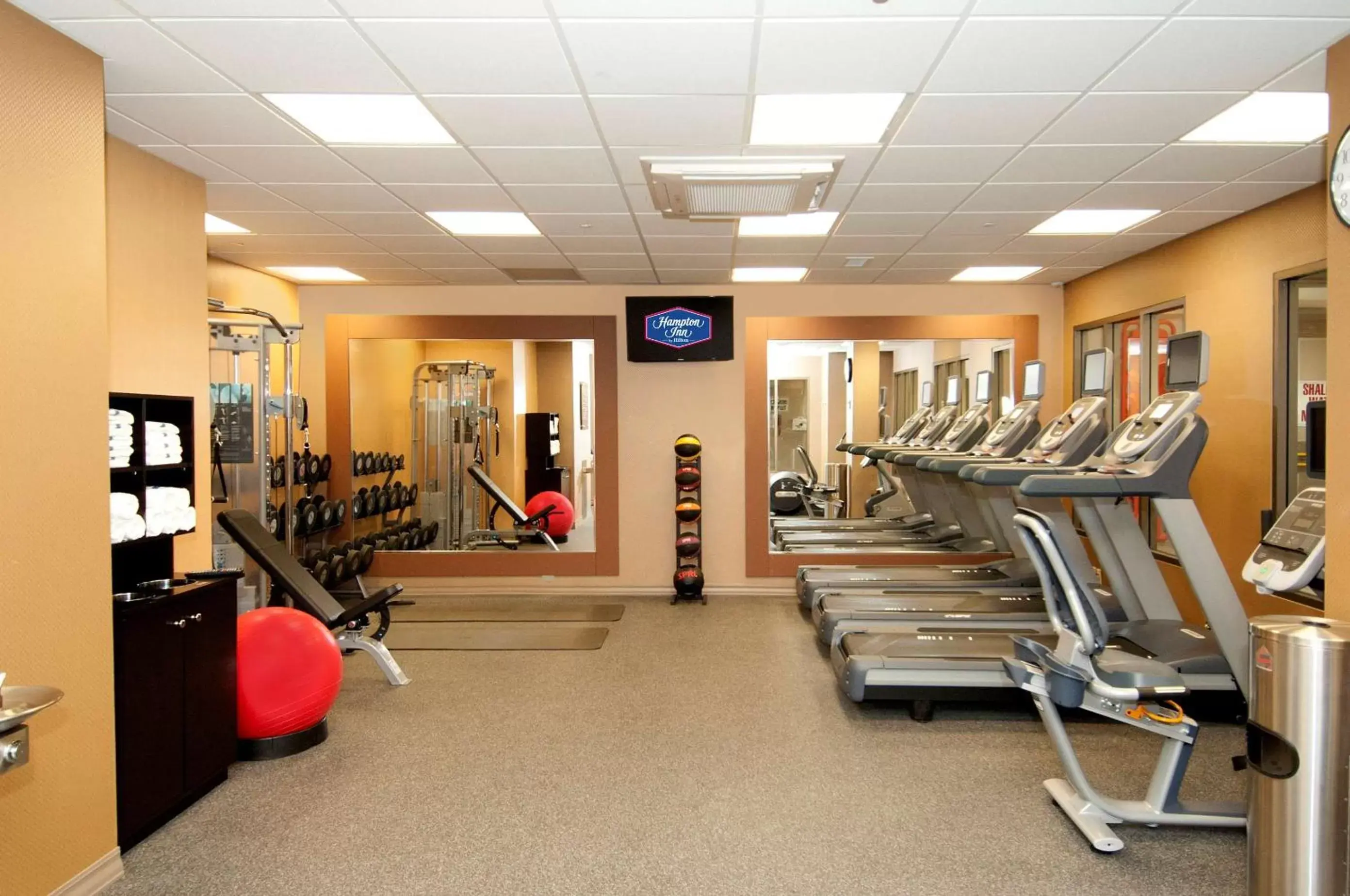 Fitness centre/facilities, Fitness Center/Facilities in Hampton Inn by Hilton Brampton - Toronto