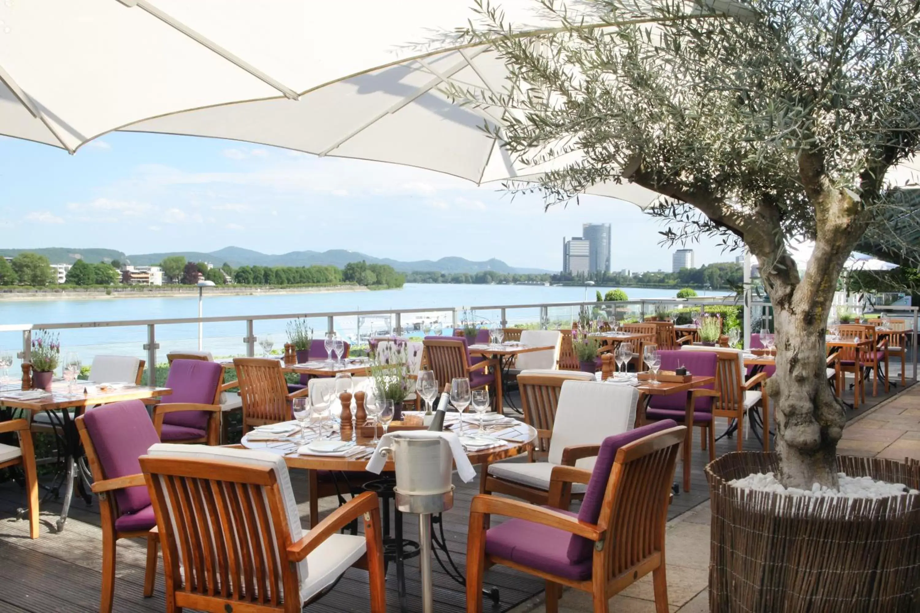 On site, Restaurant/Places to Eat in AMERON Bonn Hotel Königshof
