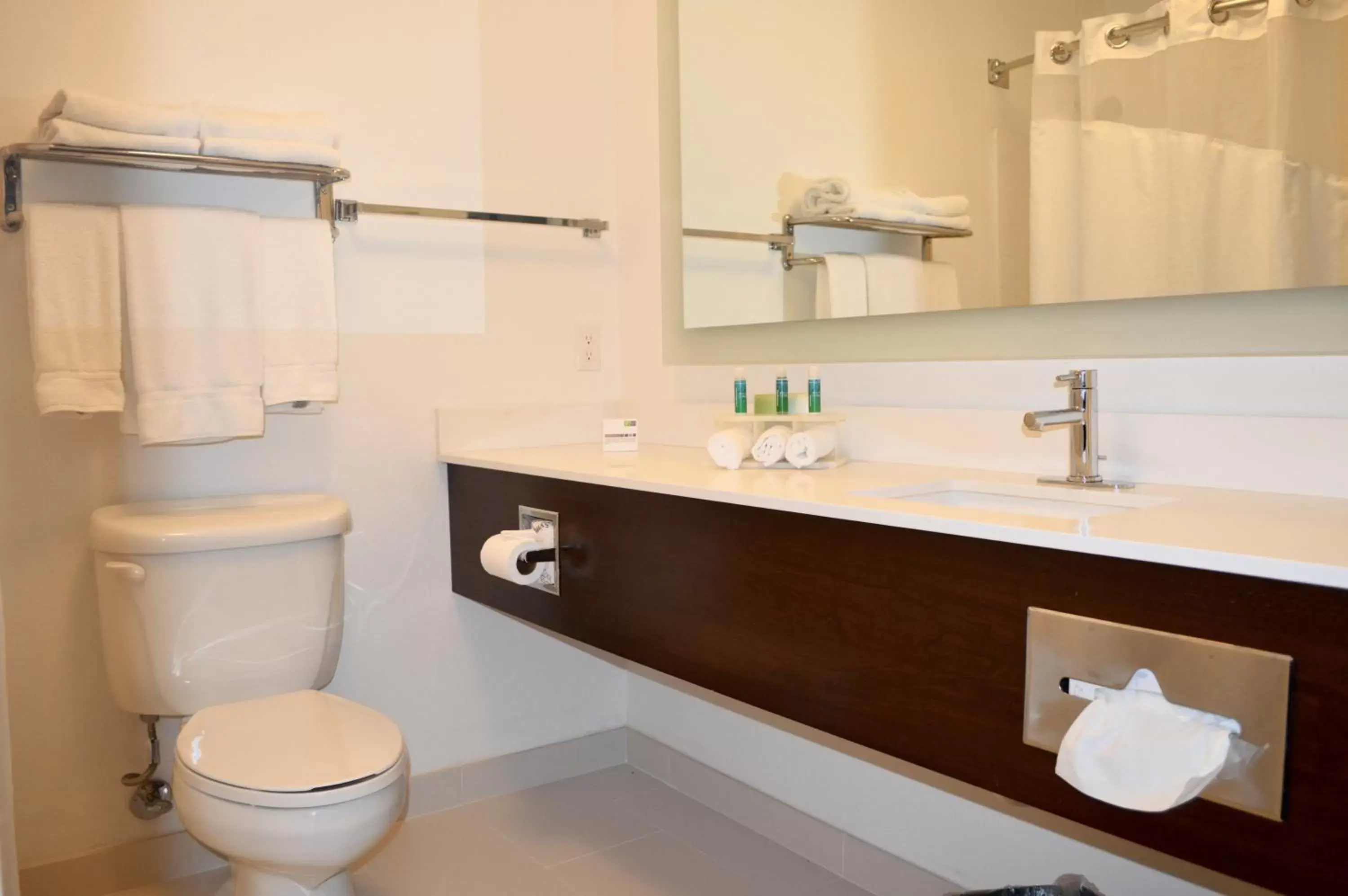 Bathroom in Holiday Inn Express Calexico, an IHG Hotel