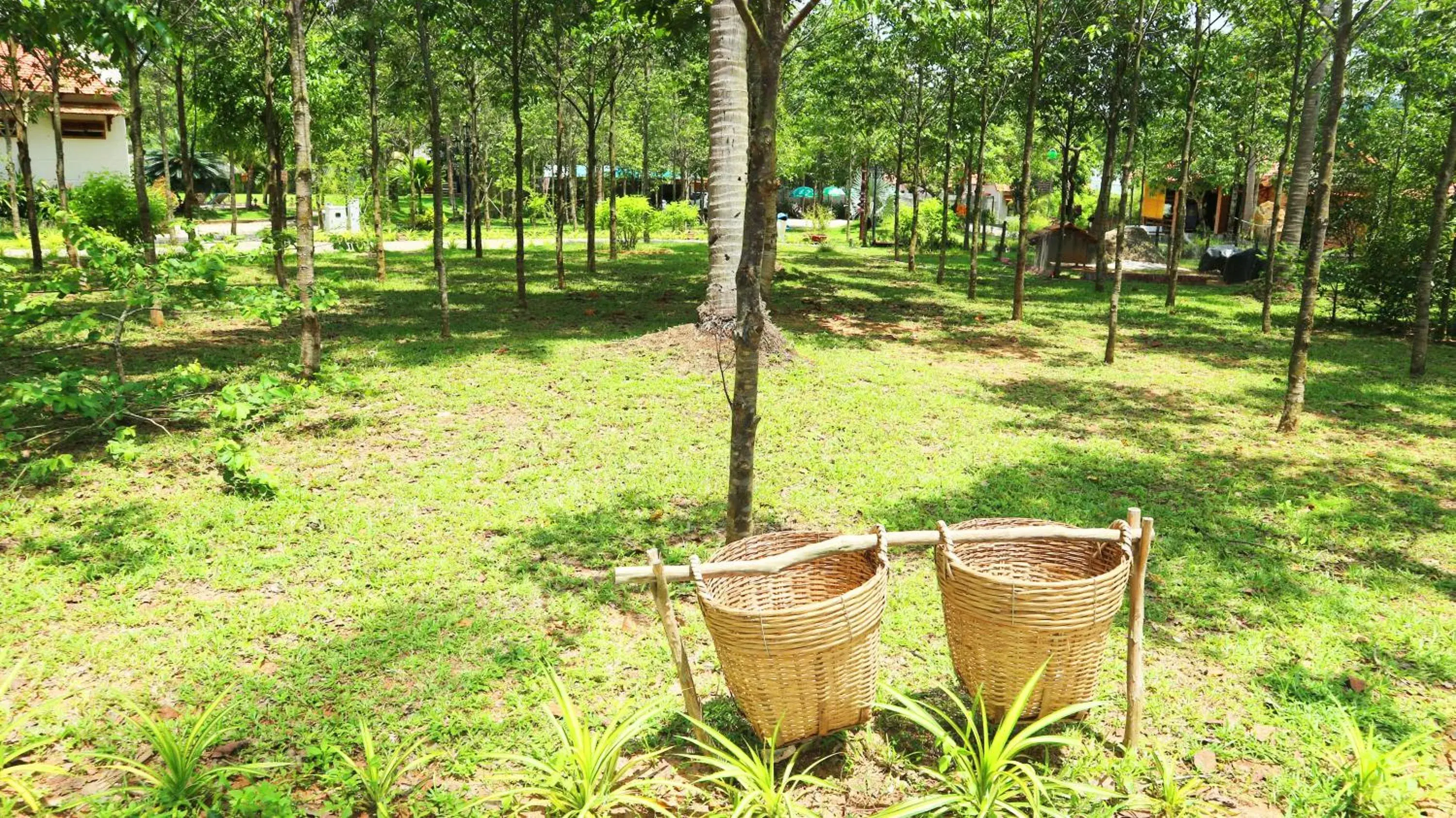 Garden in The Garden House Phu Quoc Resort