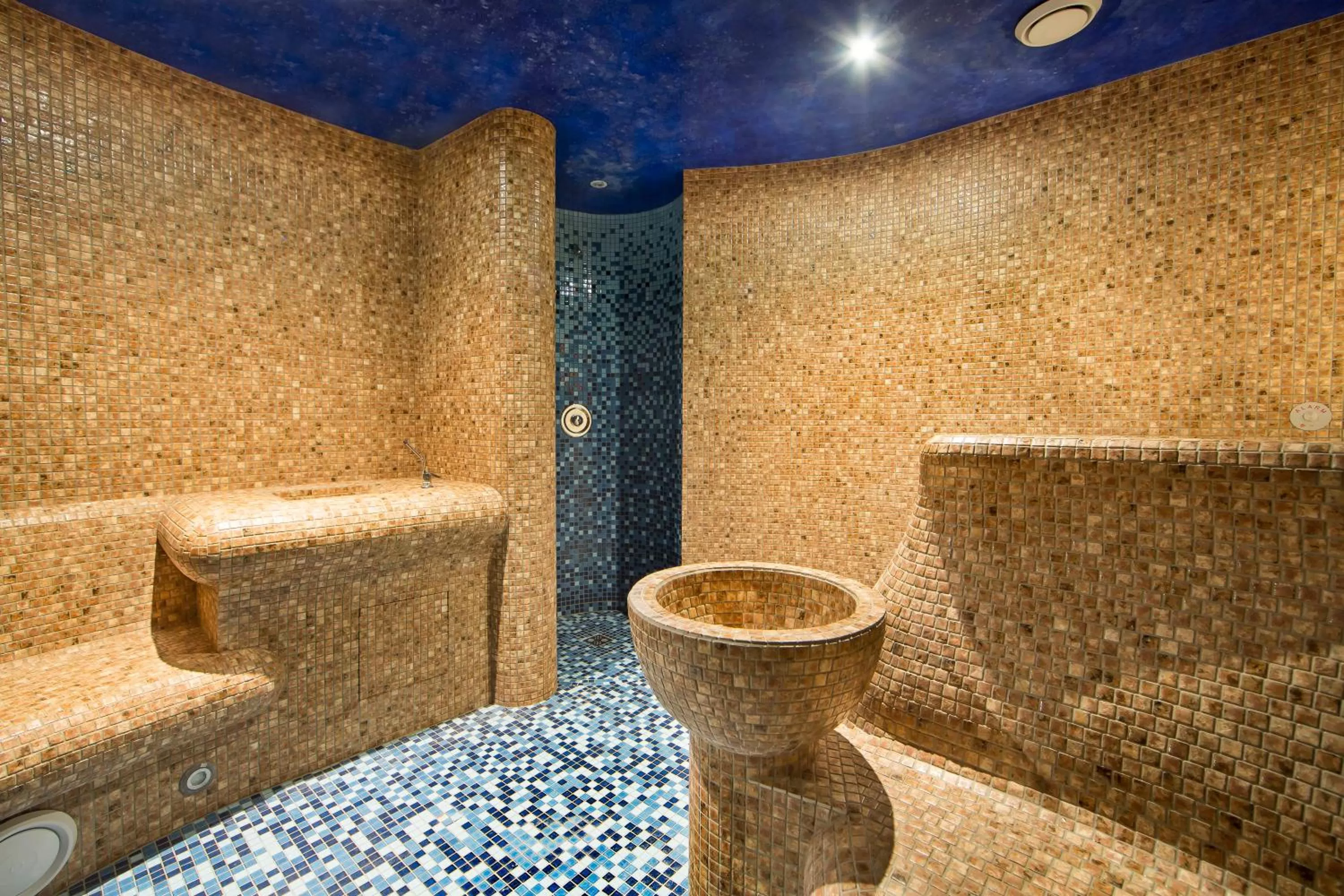 Swimming pool in Hotel Król Kazimierz