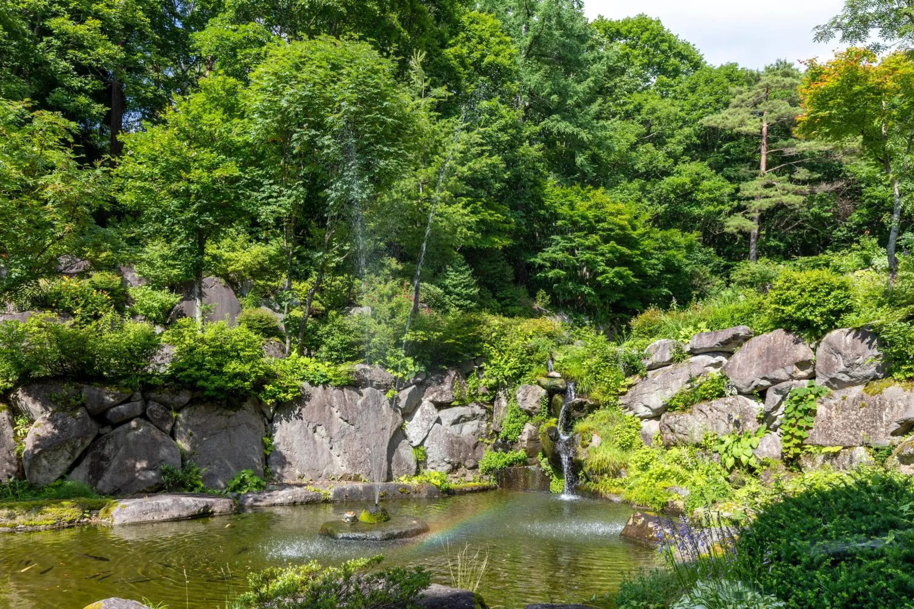 Summer, Natural Landscape in Hotel Tagawa