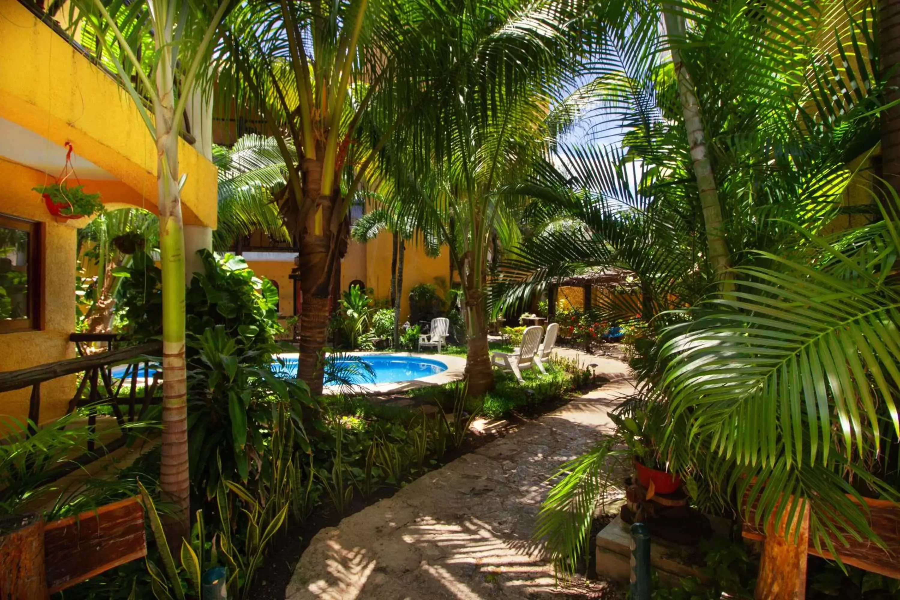 Off site, Swimming Pool in Hotel Bosque Caribe, 5th Av. zone