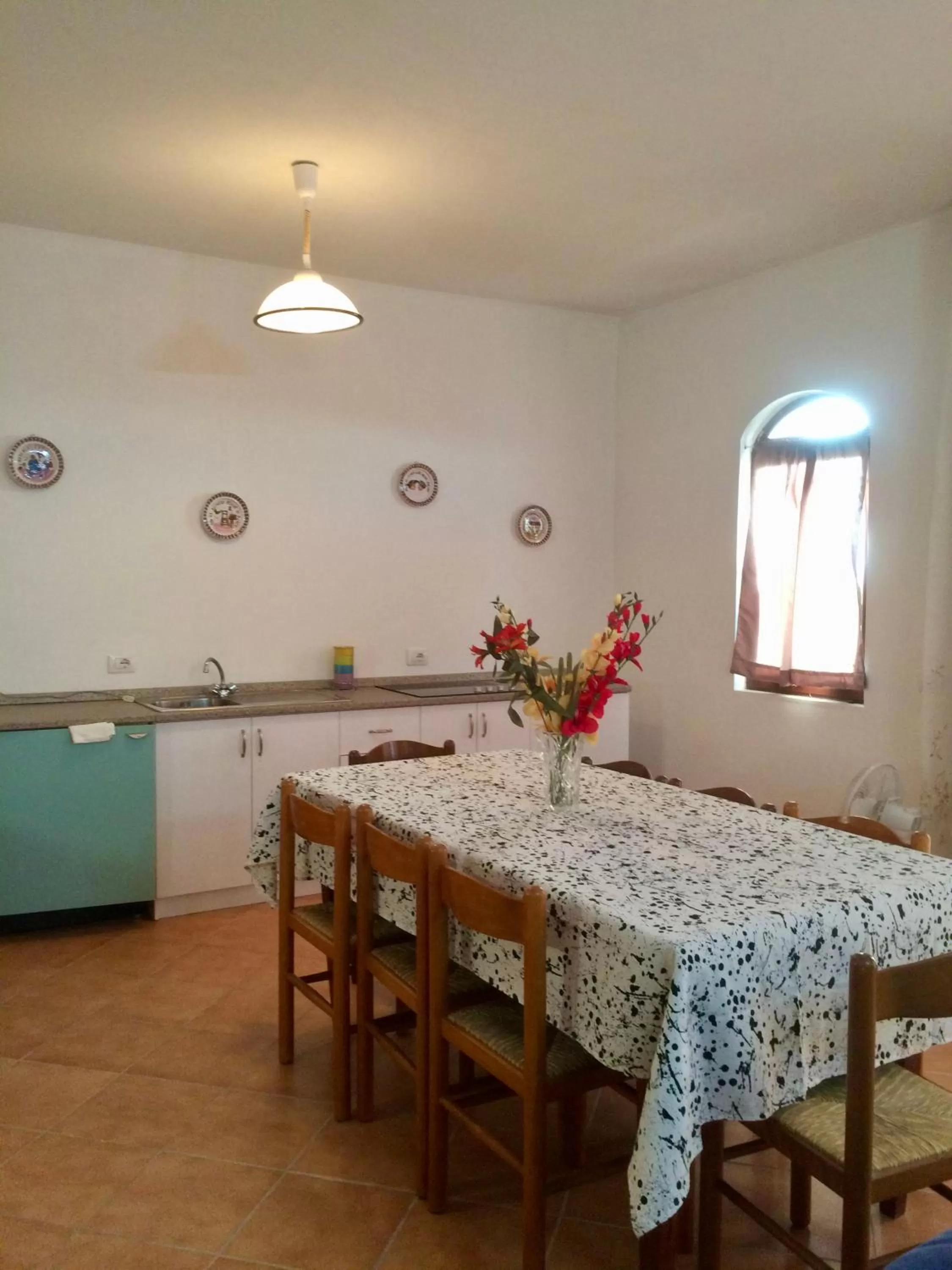 Kitchen or kitchenette in Guesthouse Villa Rosa Berat